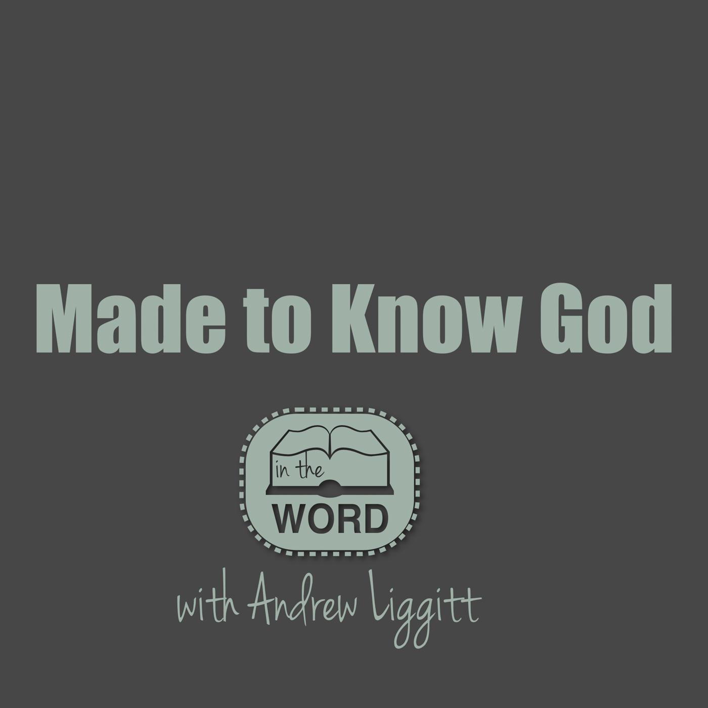 Made to Know God