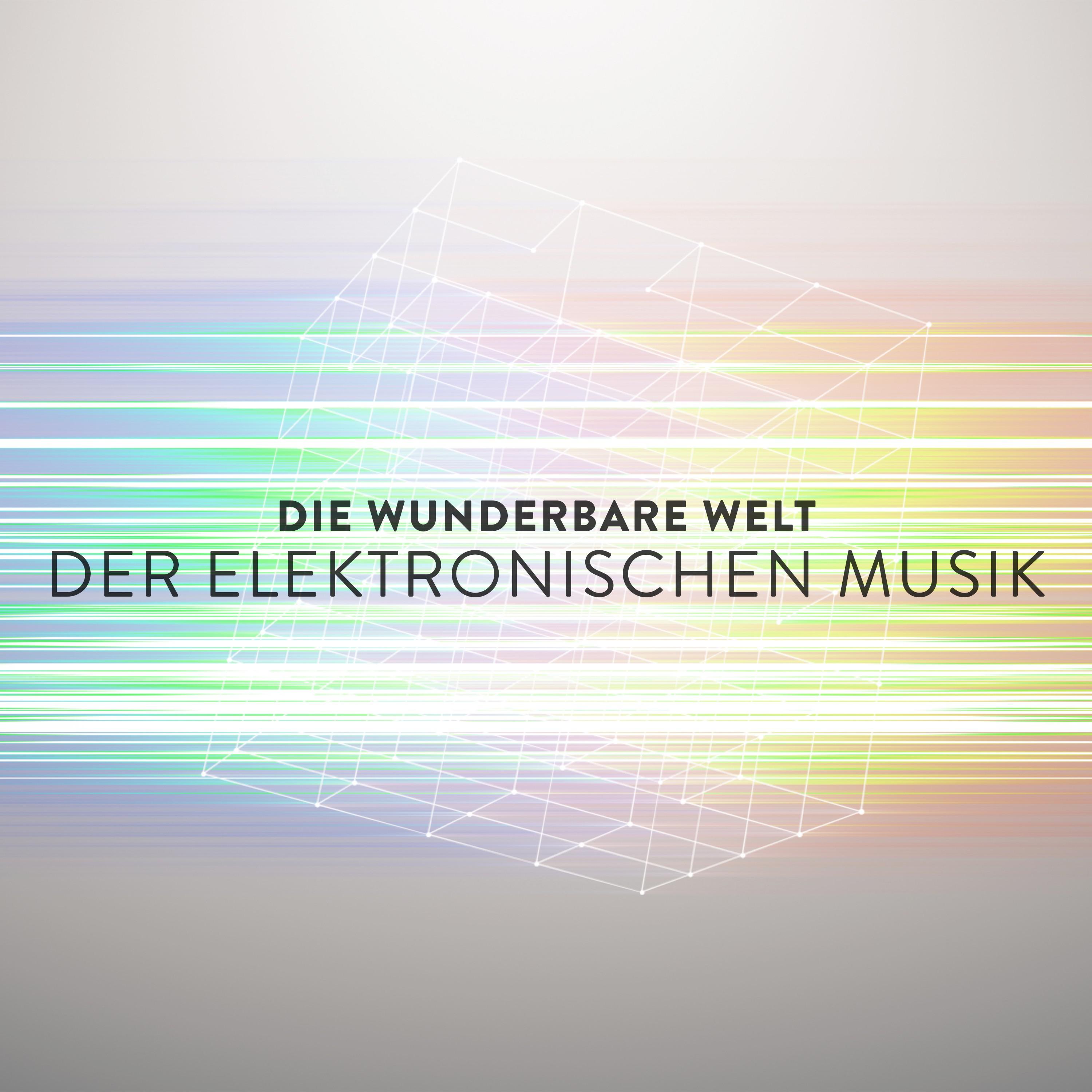 Die Wunderbare Welt Der Elektronischen Musik