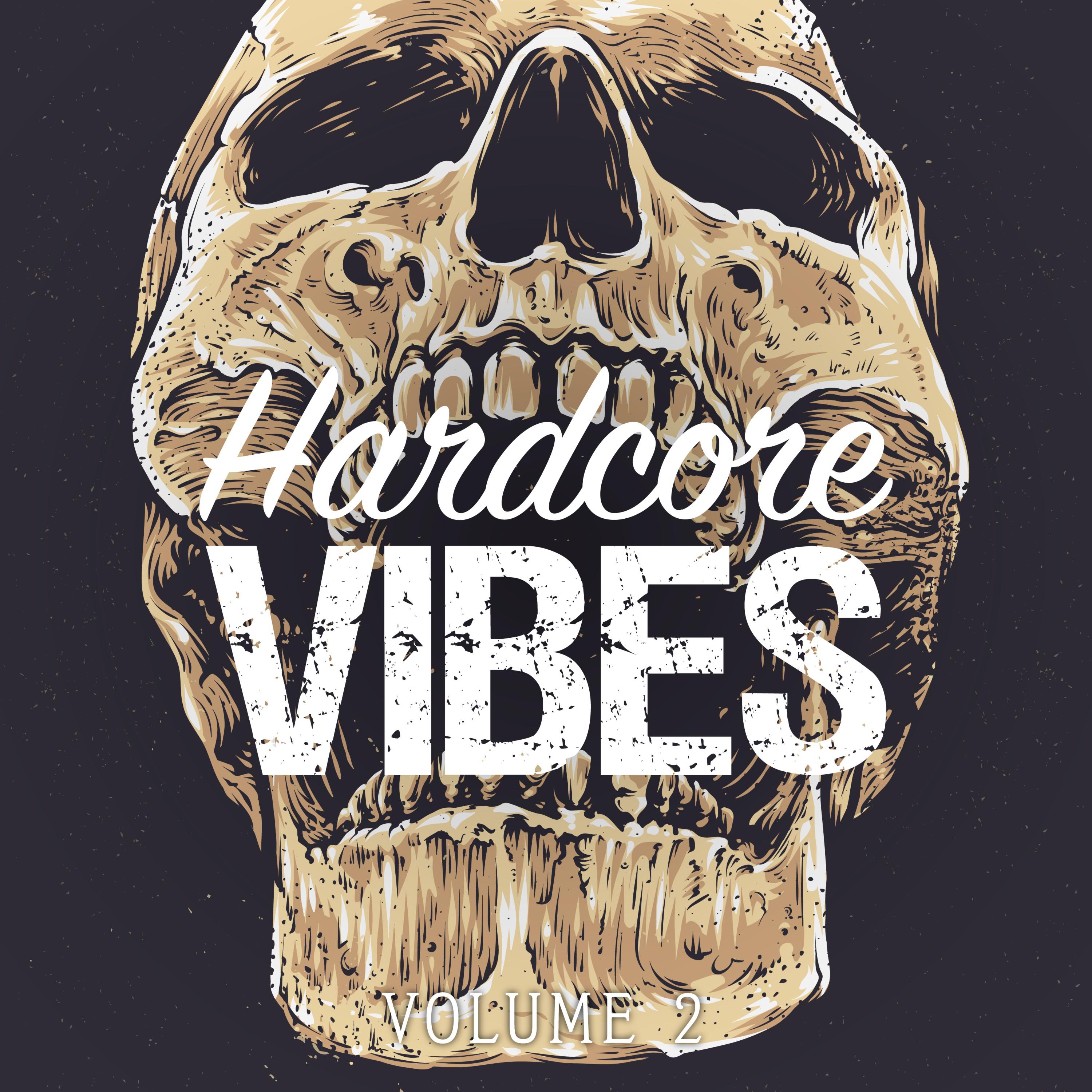 Hardcore Vibes, Vol. 2