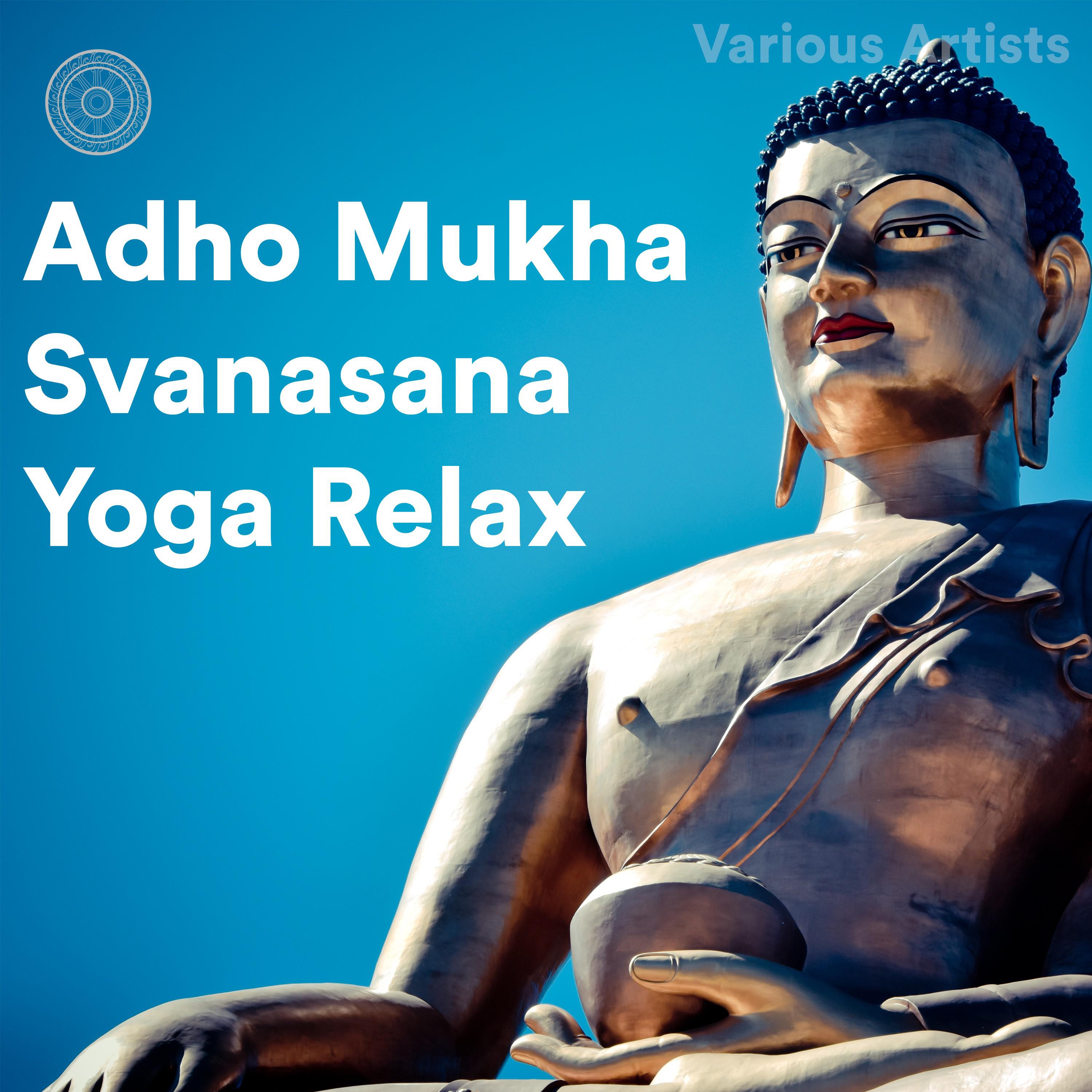 Adho Mukha Svanasana Yoga Relax