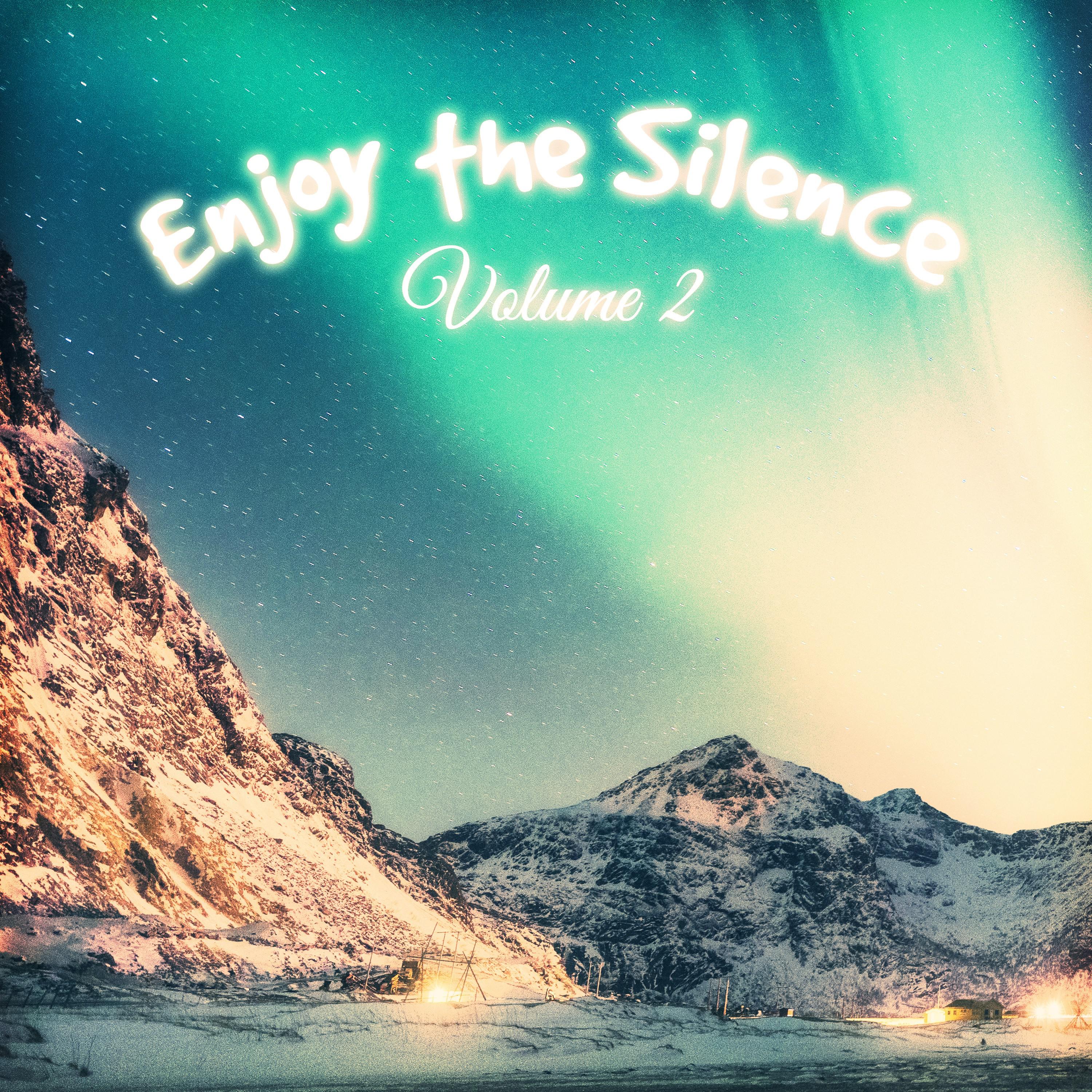 Enjoy the Silence, Vol. 2