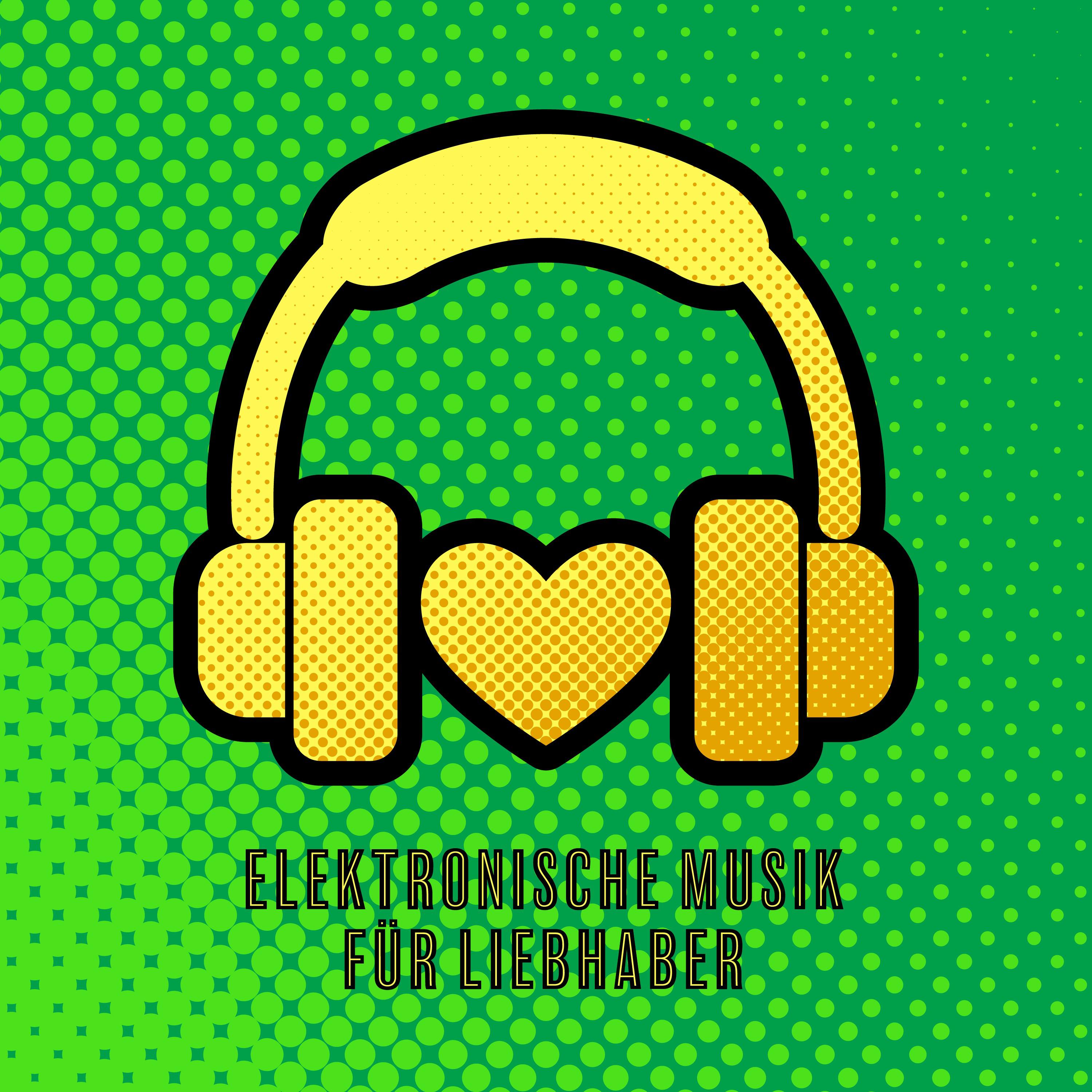 Elektronische Musik fü r Liebhaber