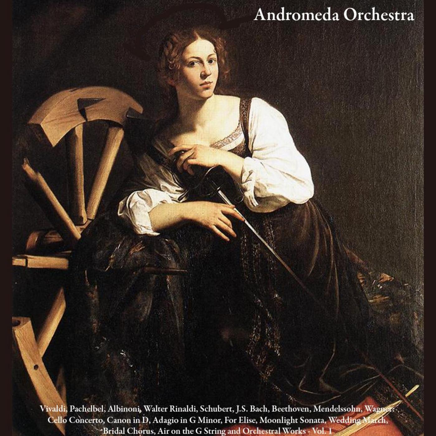 Paris Concerto VIII in D Minor RV 127: III. Allegro