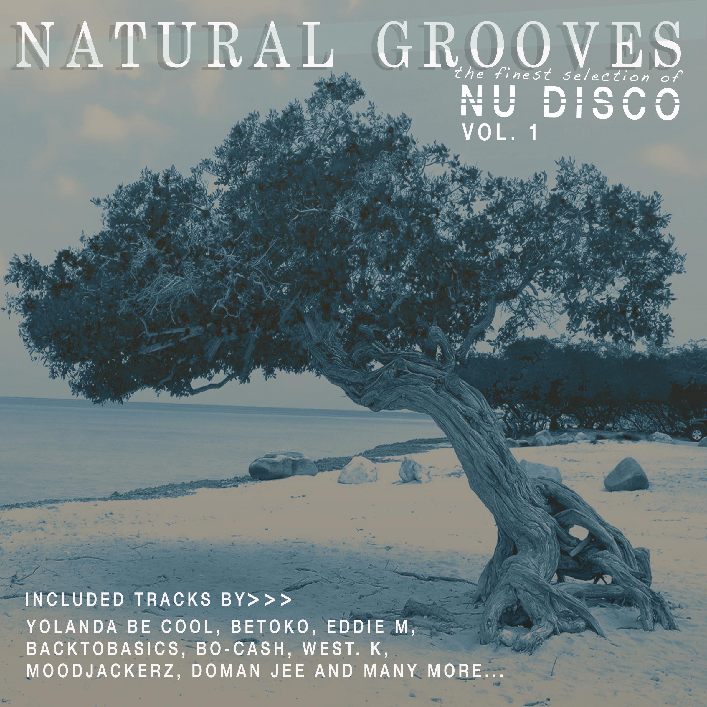 Natural Grooves - The Finest Selection of Nu Disco, Vol. 1
