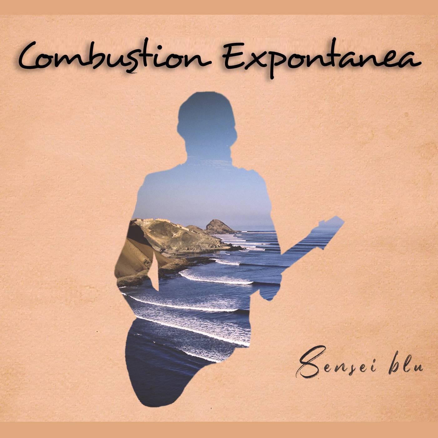 Combustion Expontanea