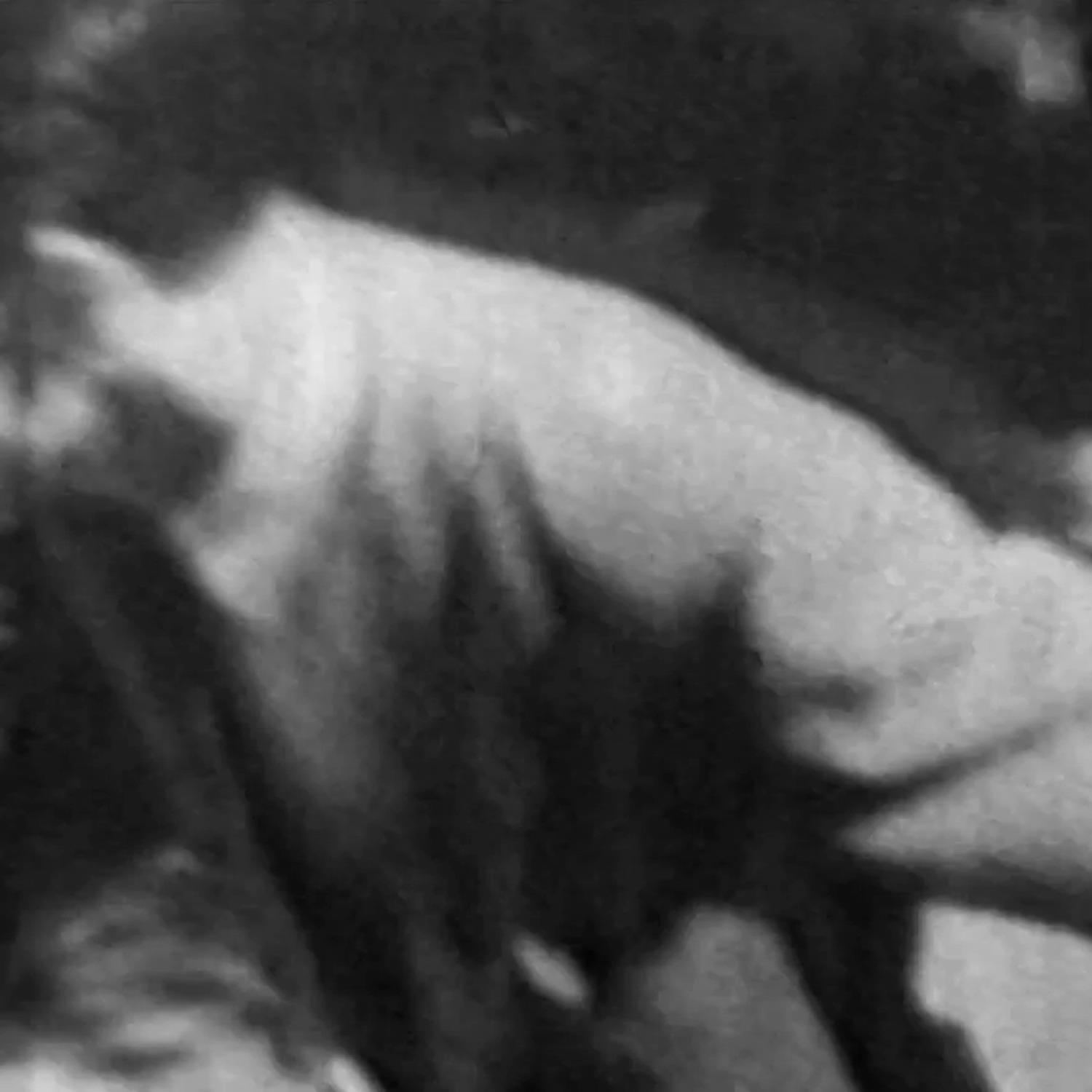 Extra a Transformacio n