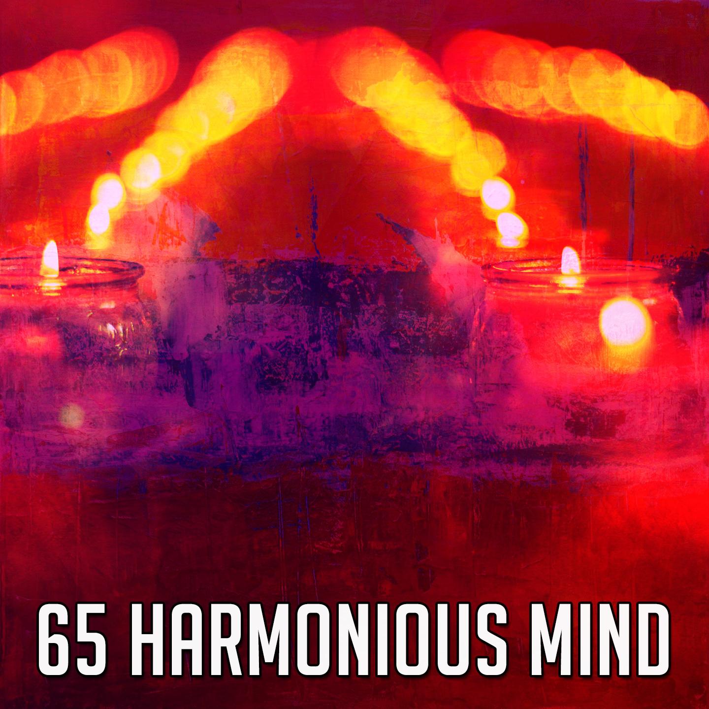 65 Harmonious Mind