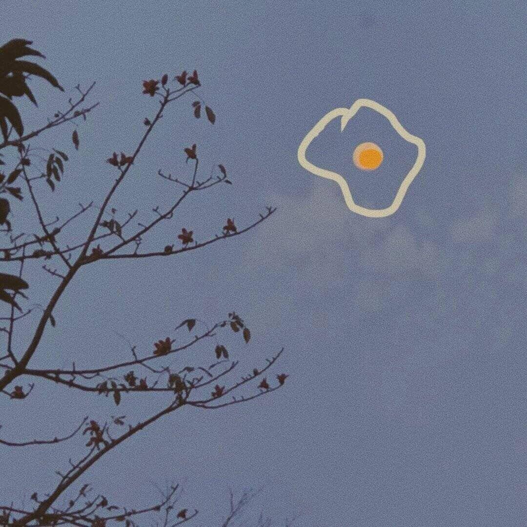 wu lun ni duo guai yi wo dou xi huan ni