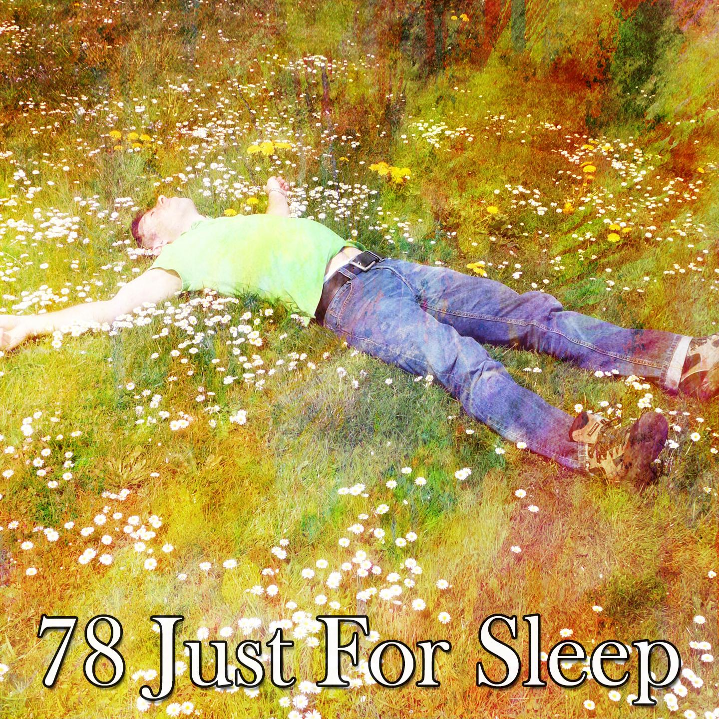 78 Just for Sleep