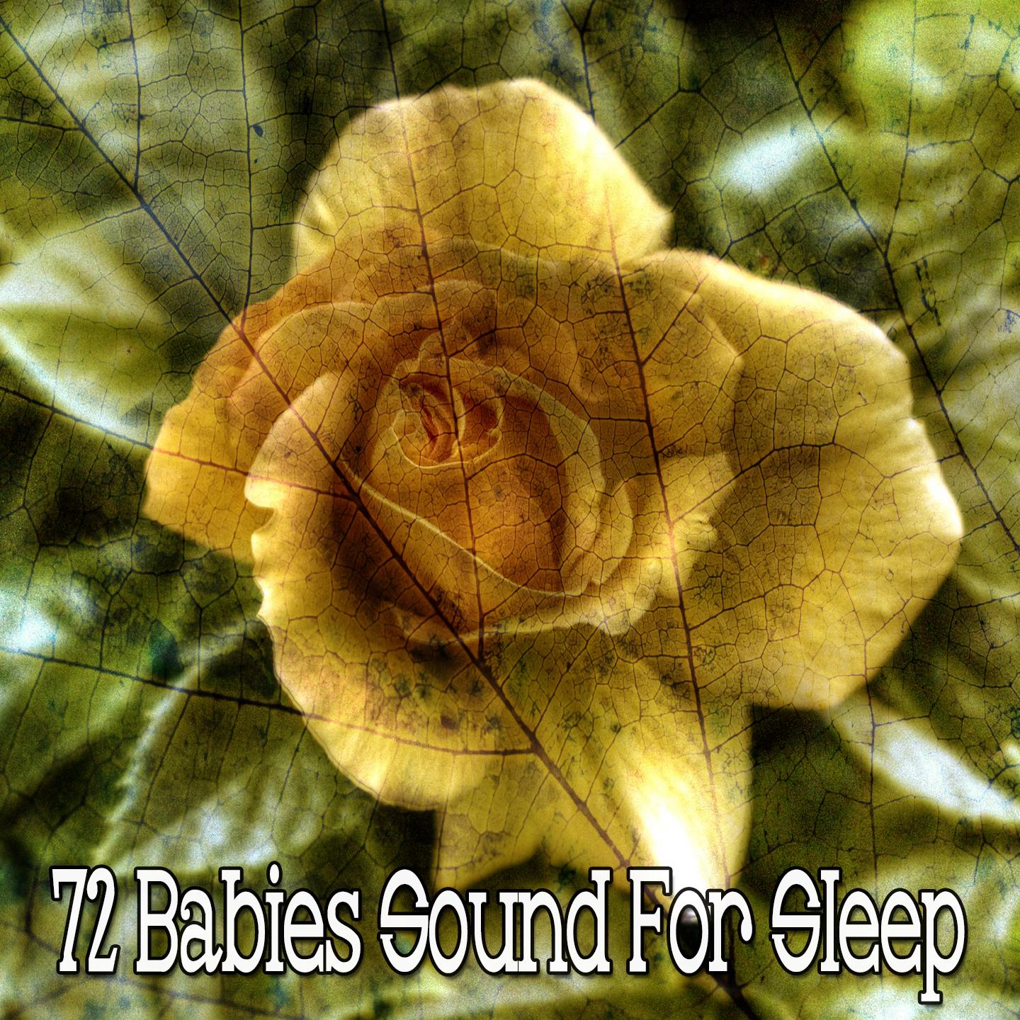 72 Babies Sound for Sleep
