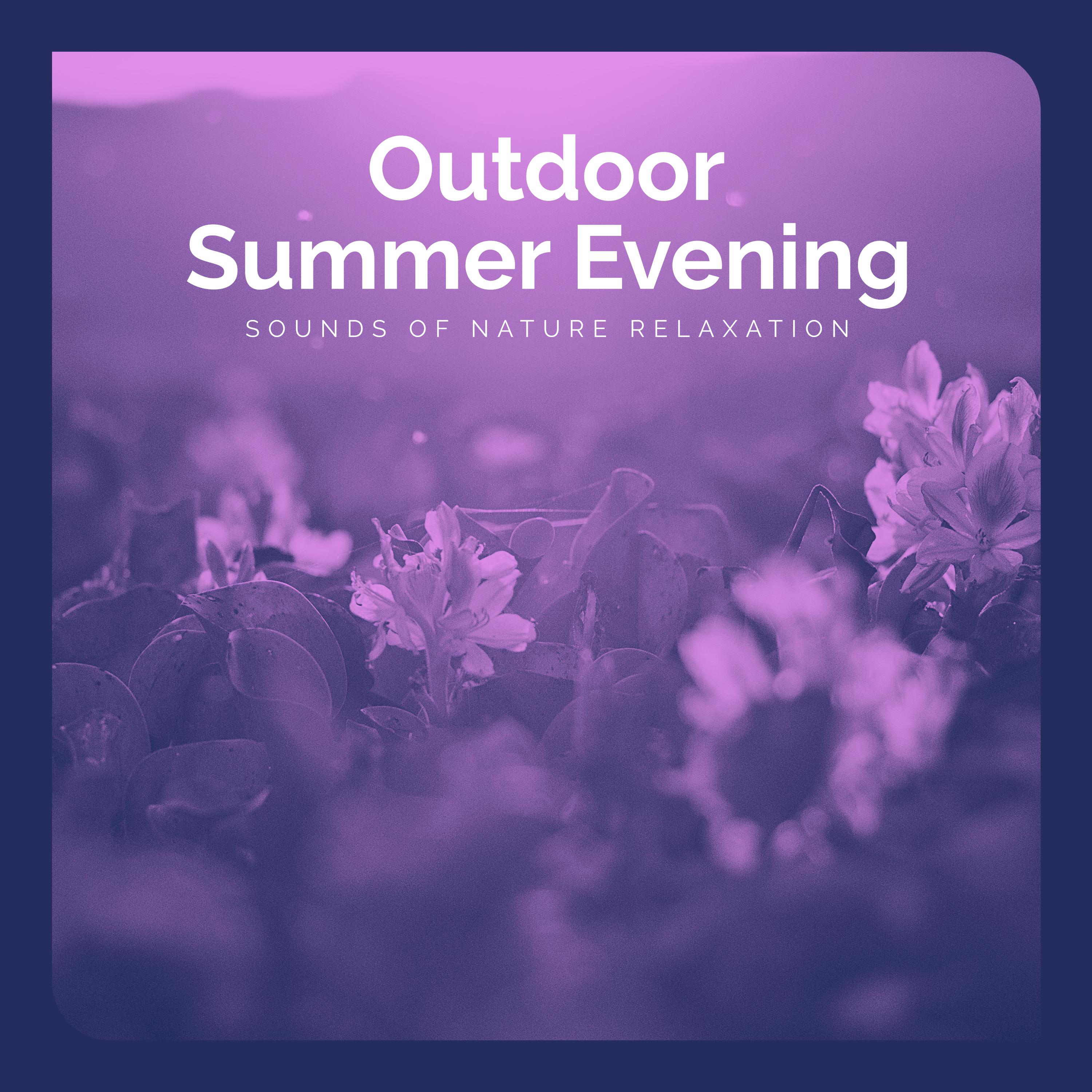 Outdoor Summer Evening