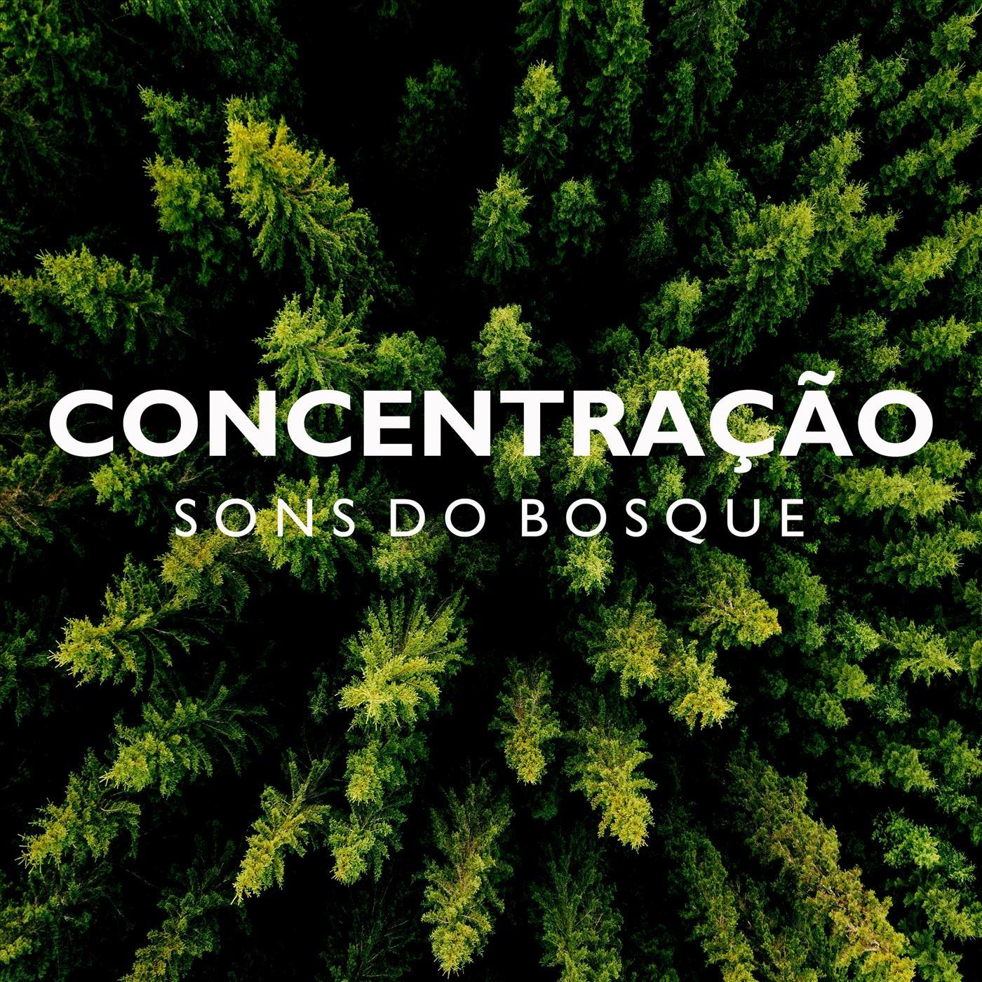 Concentra o: Sons do Bosque