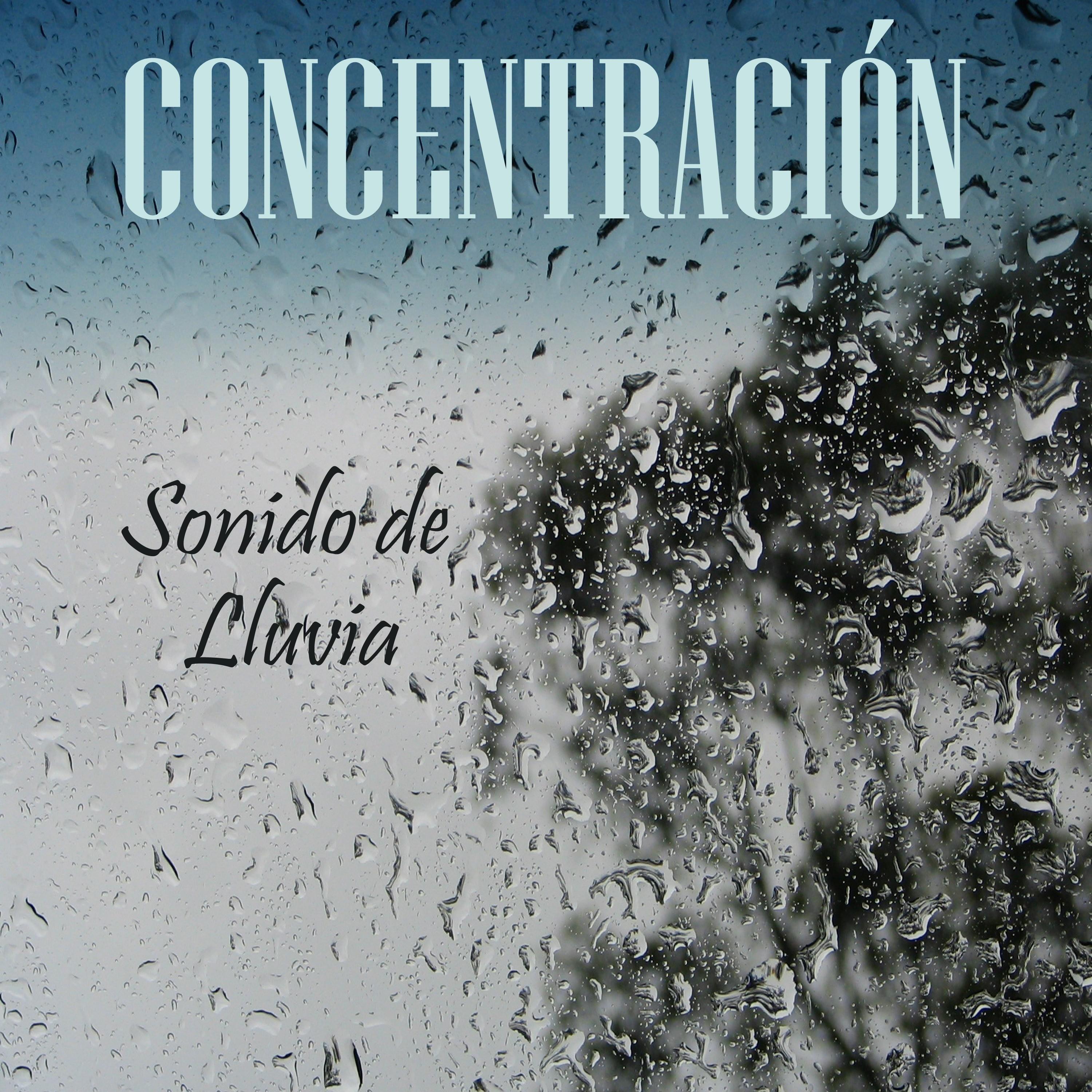 Concentracio n Con Sonido de Lluvia, Pt. 15