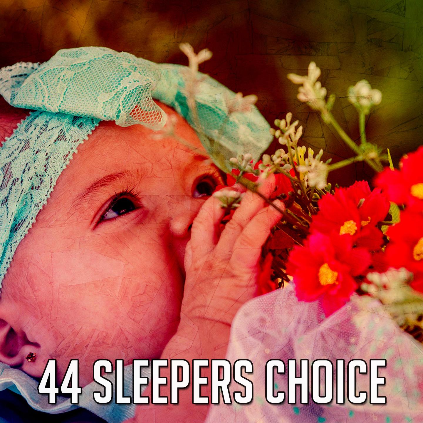 44 Sleepers Choice