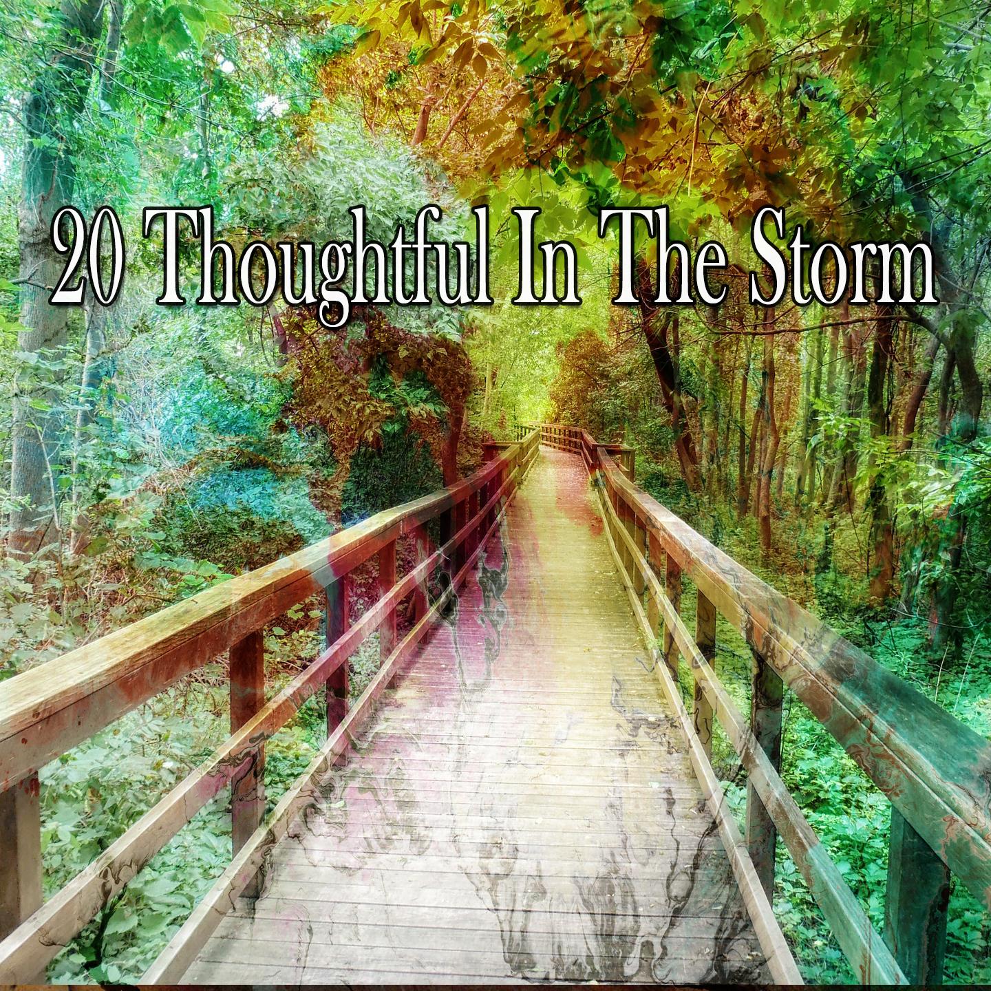 20 Thoughtful in the Storm