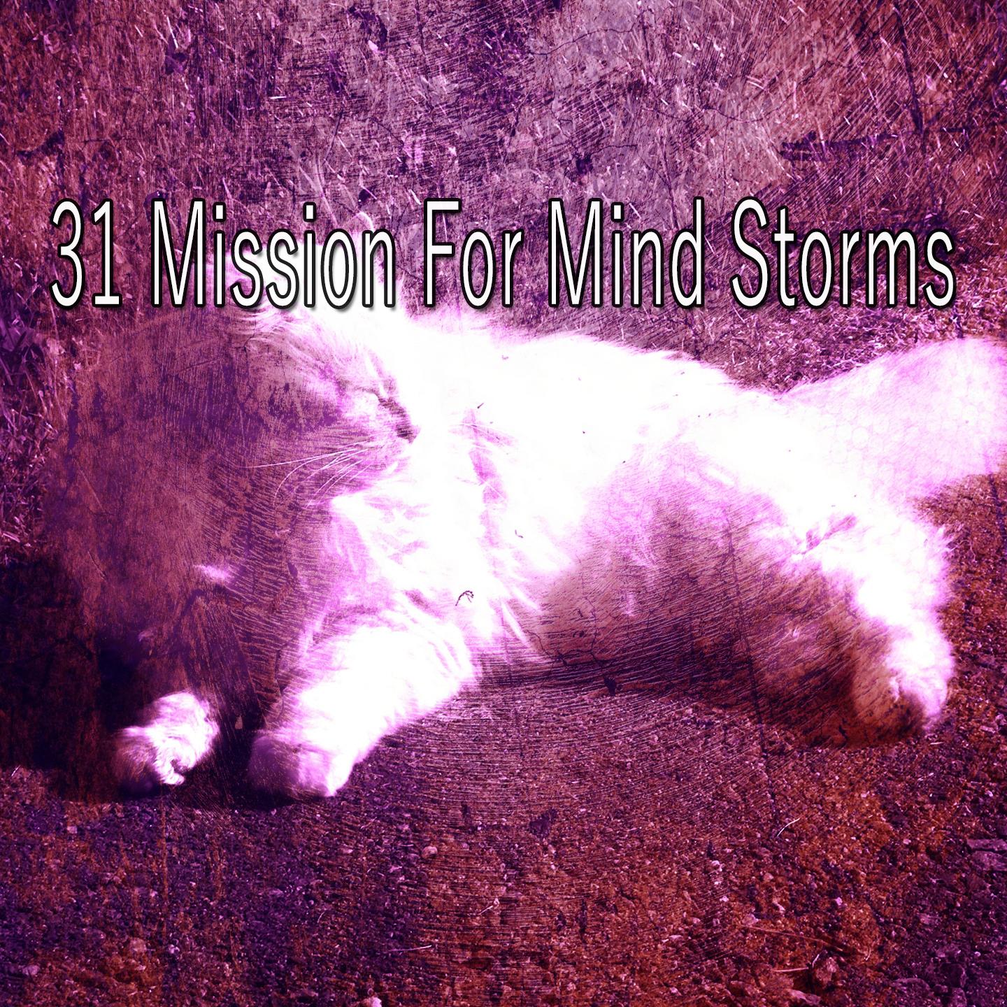 31 Mission for Mind Storms
