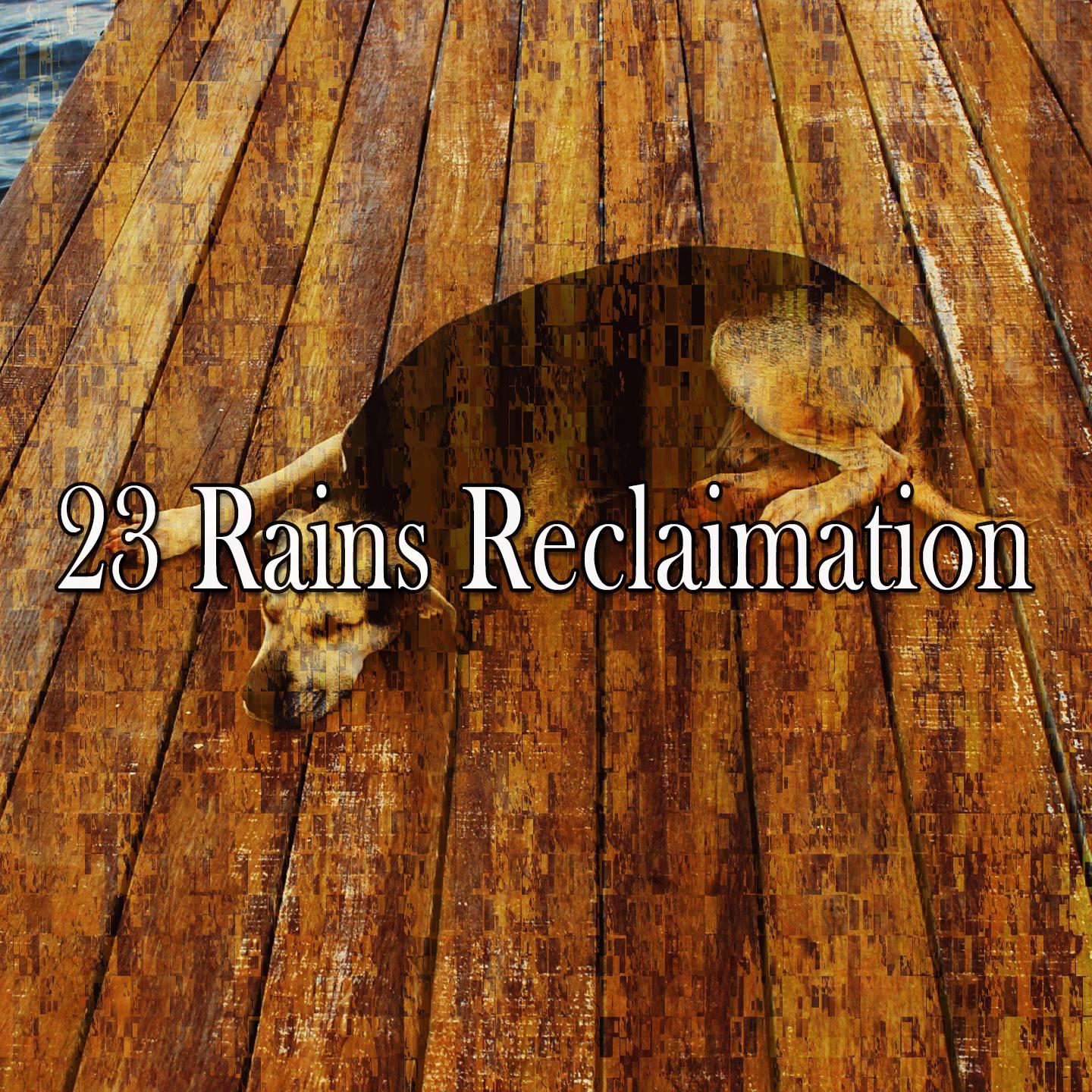 23 Rains Reclaimation