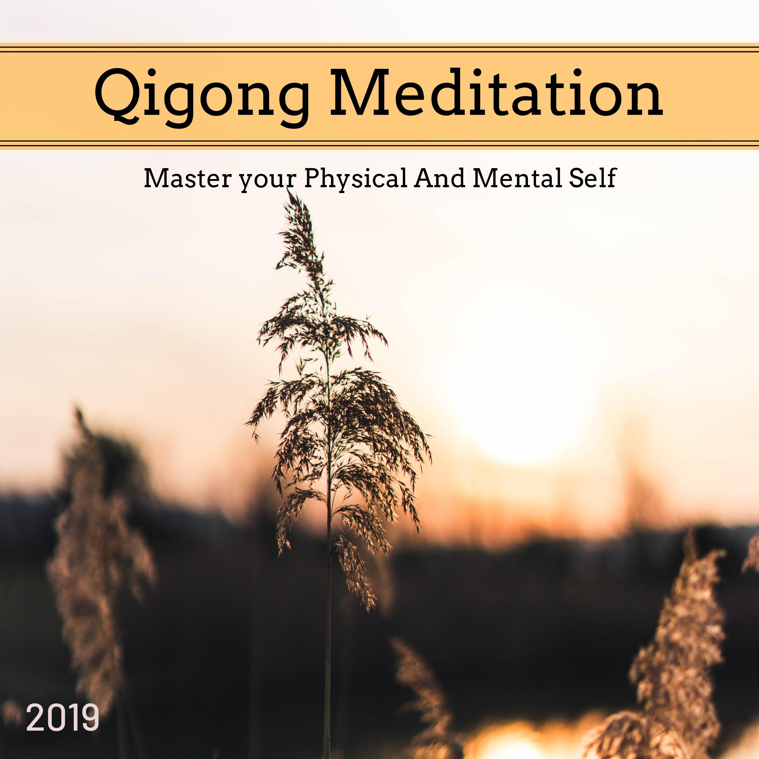 Qigong Meditation 2019: Master your Physical And Mental Self