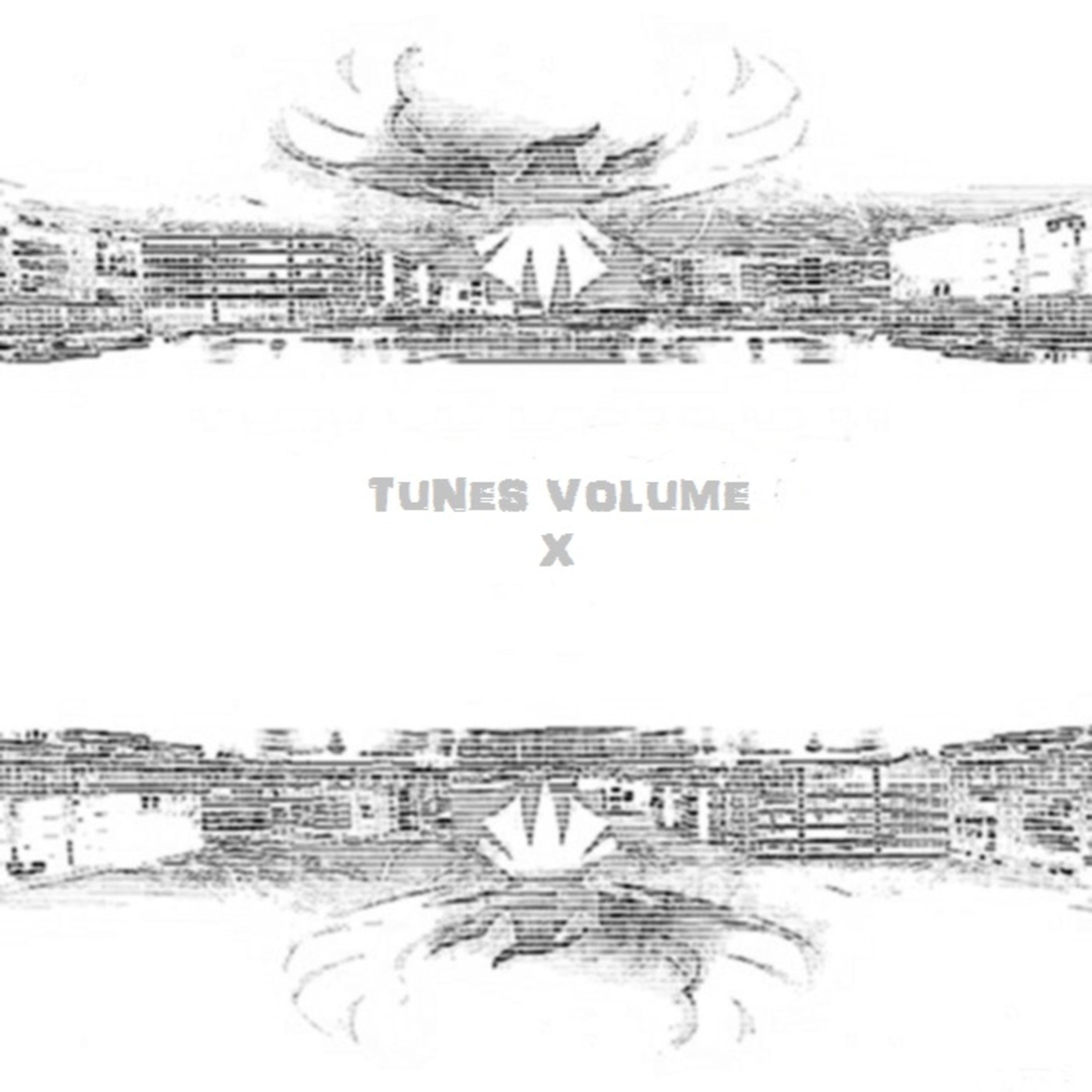 Tunes, Vol. X