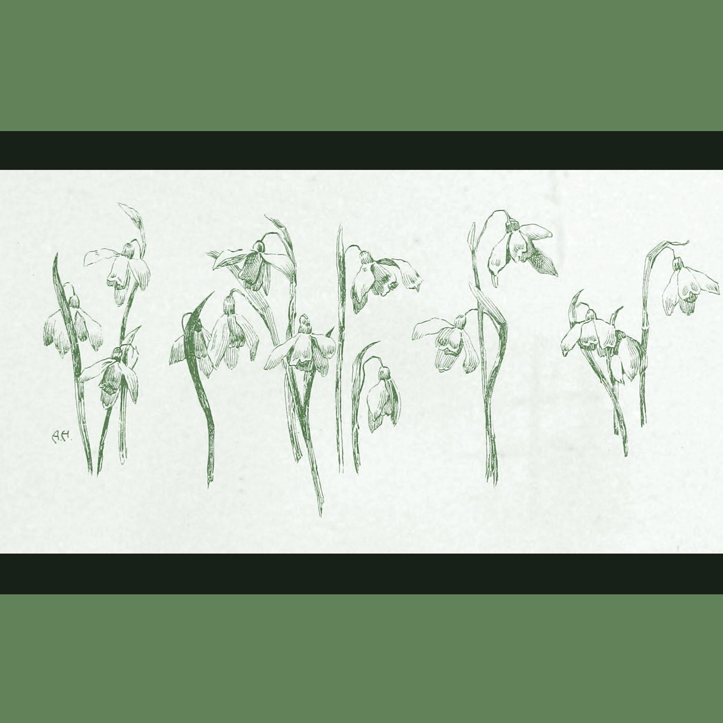 My Heart&#039; s Memories of the Winds