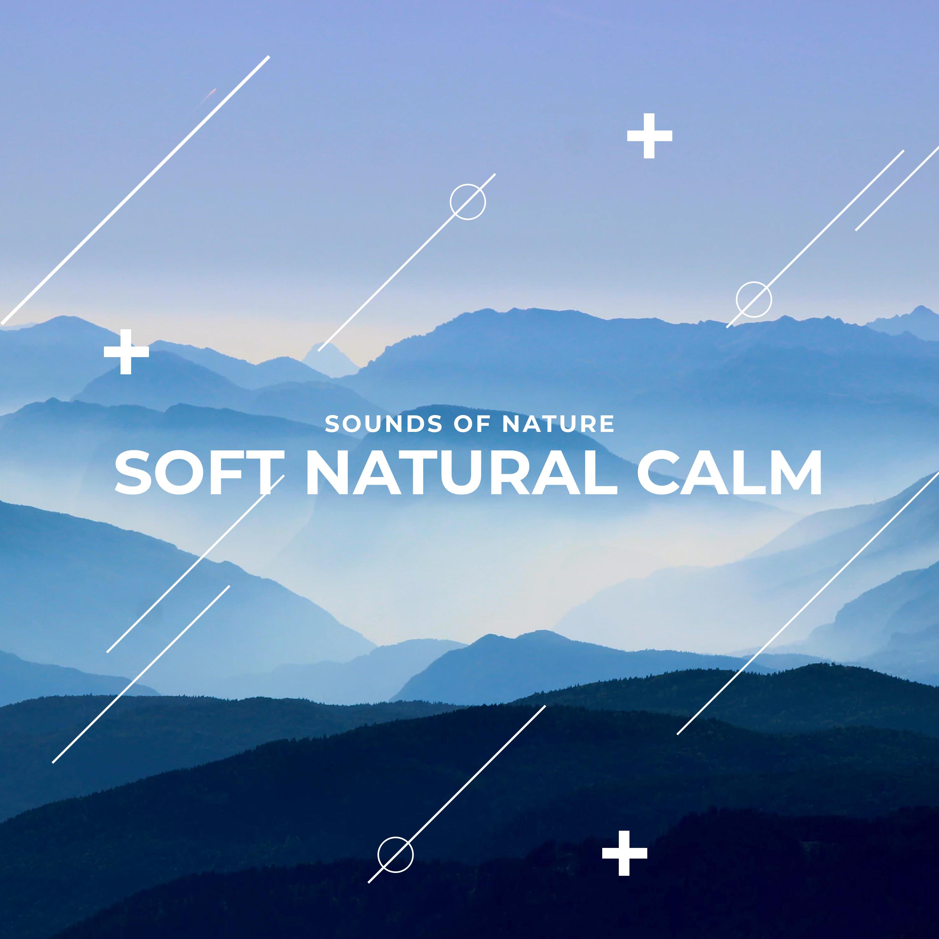 Soft Natural Calm