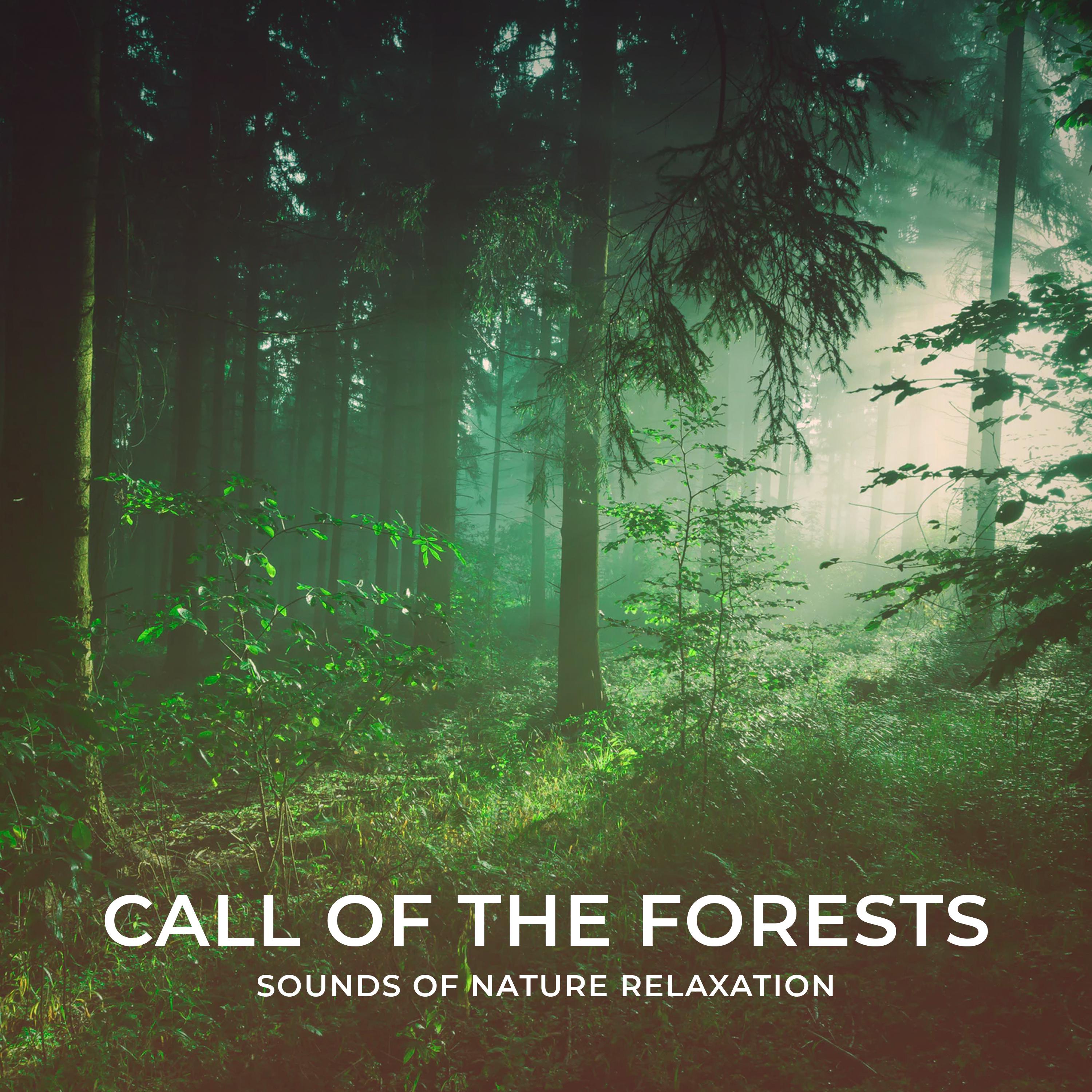 Call of the Forests