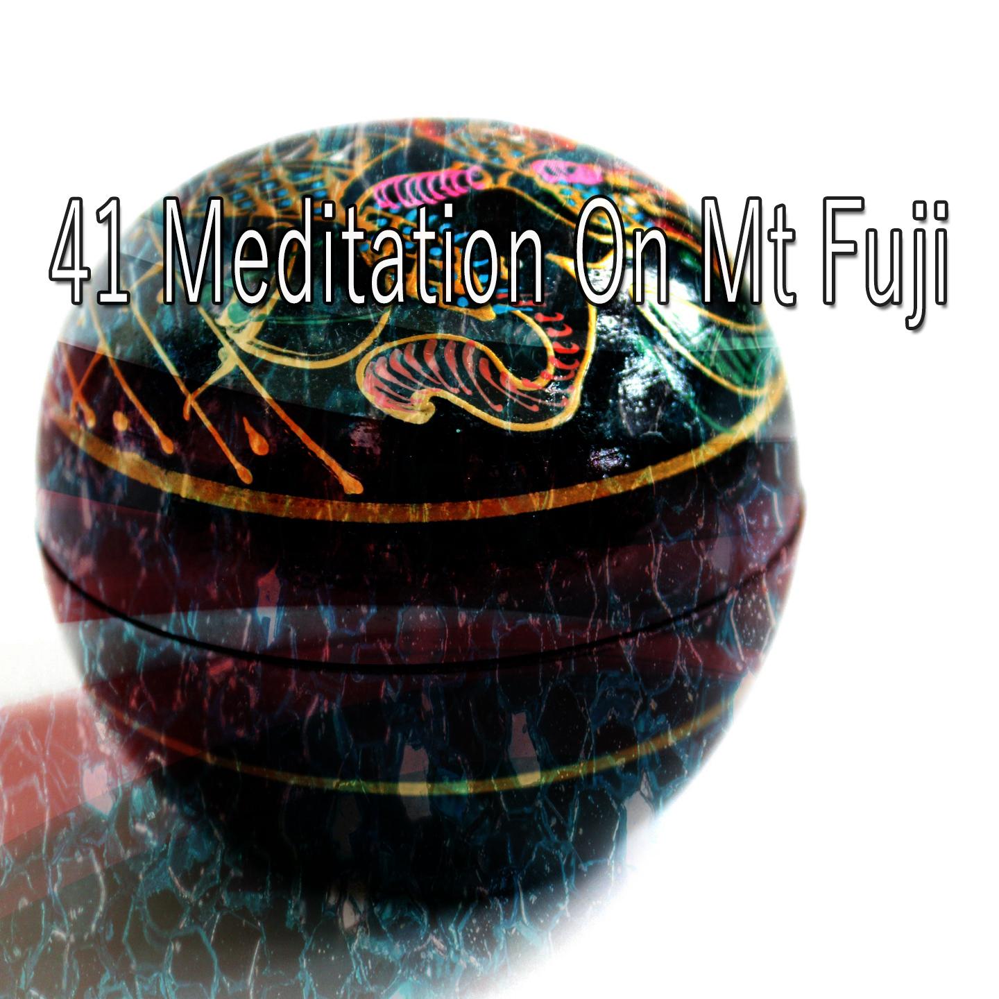 41 Meditation on Mt Fuji