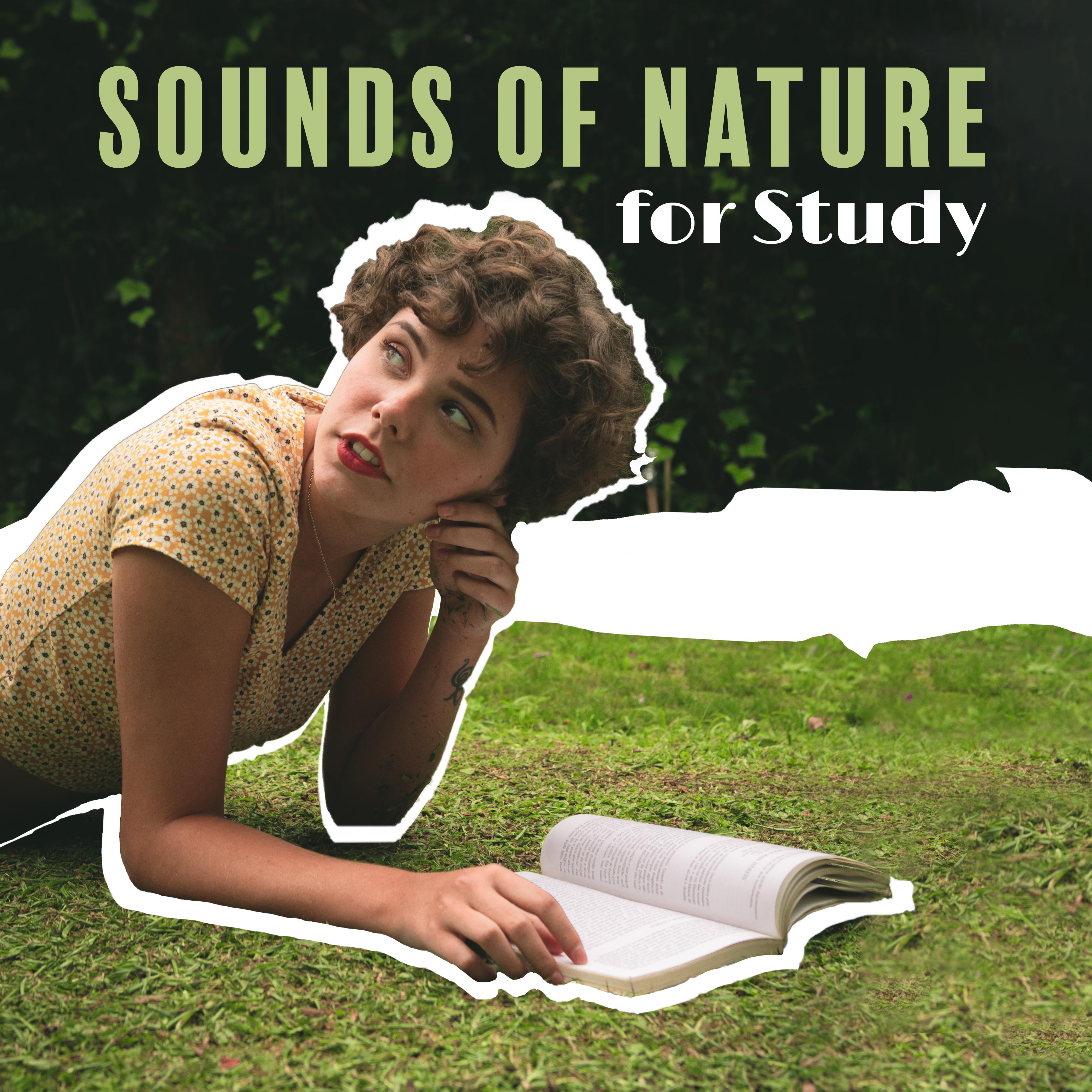 Sounds of Nature for Study  Music for Mind, Deep Concentration, Reduce Stress, Calm Down, Deeper Focus, Brain Power