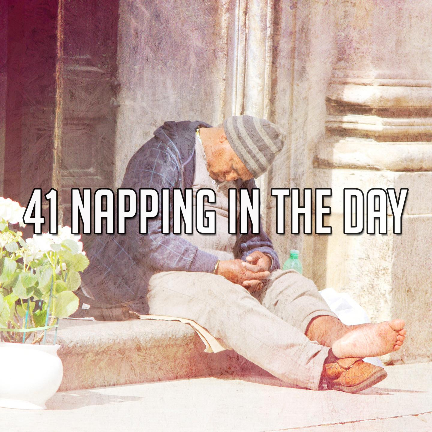 41 Napping in the Day