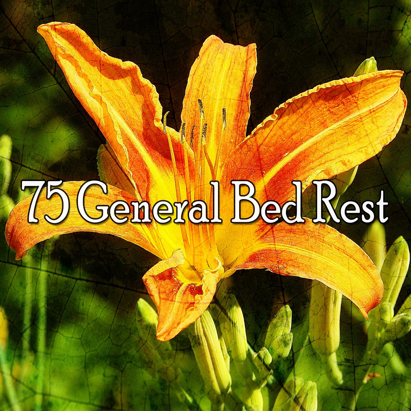 75 General Bed Rest
