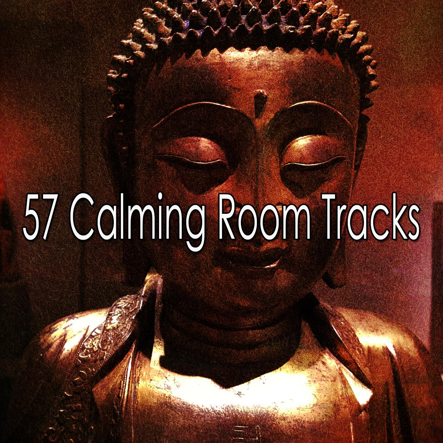 57 Calming Room Tracks