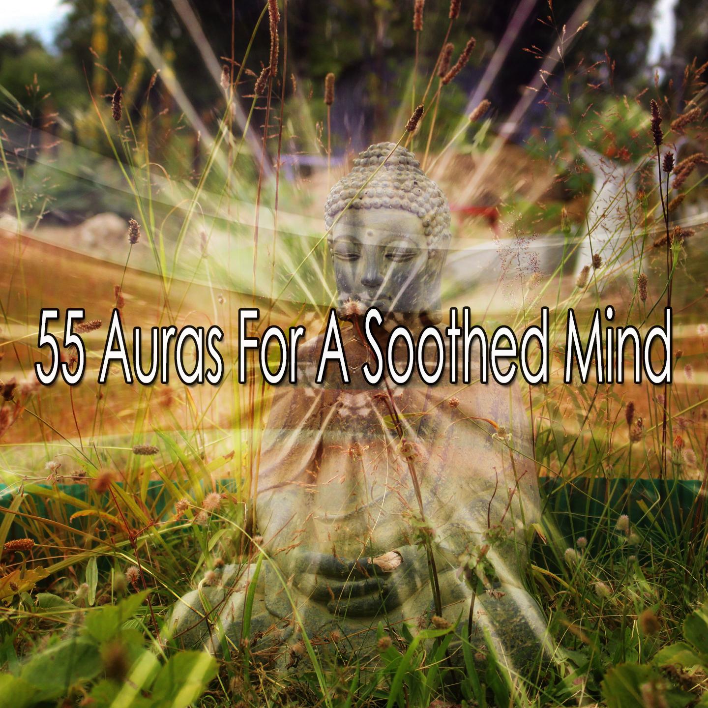 55 Auras for a Soothed Mind