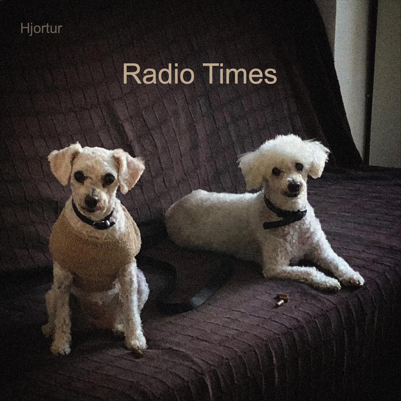 One More Night in the Satellite