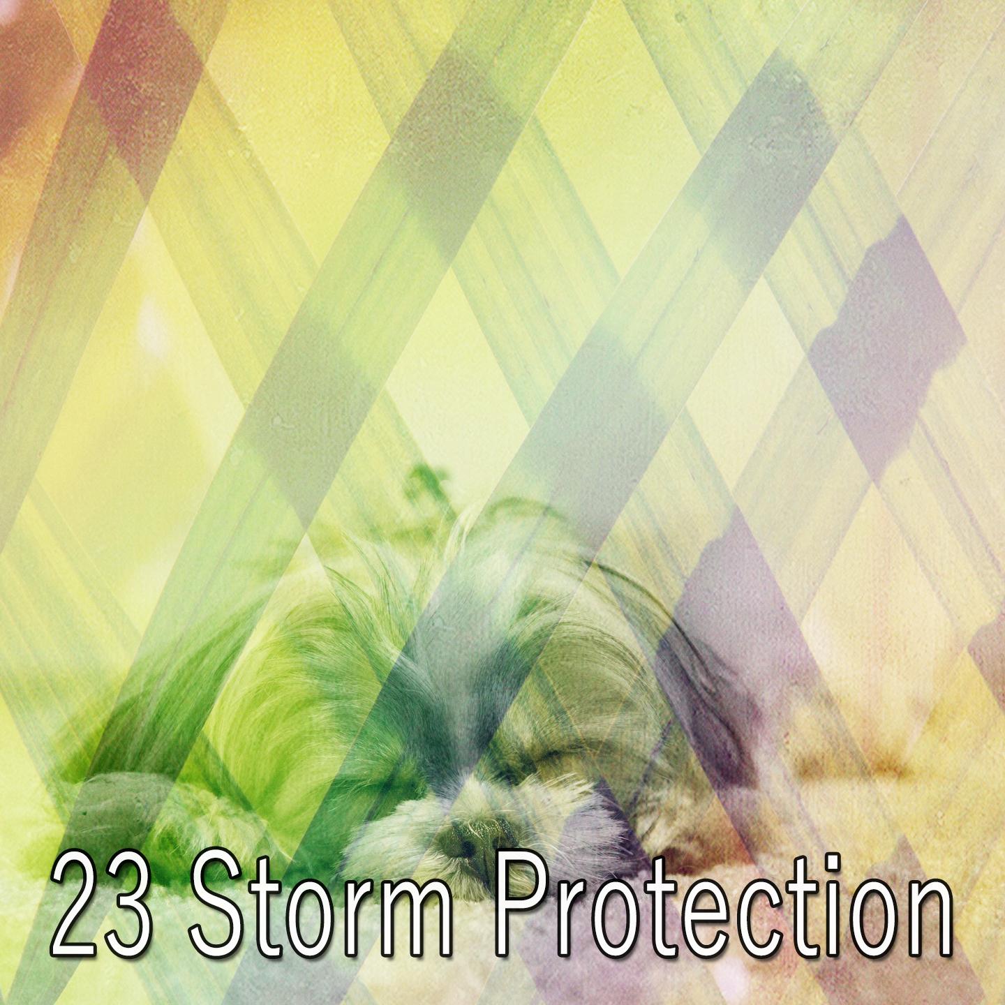 23 Storm Protection