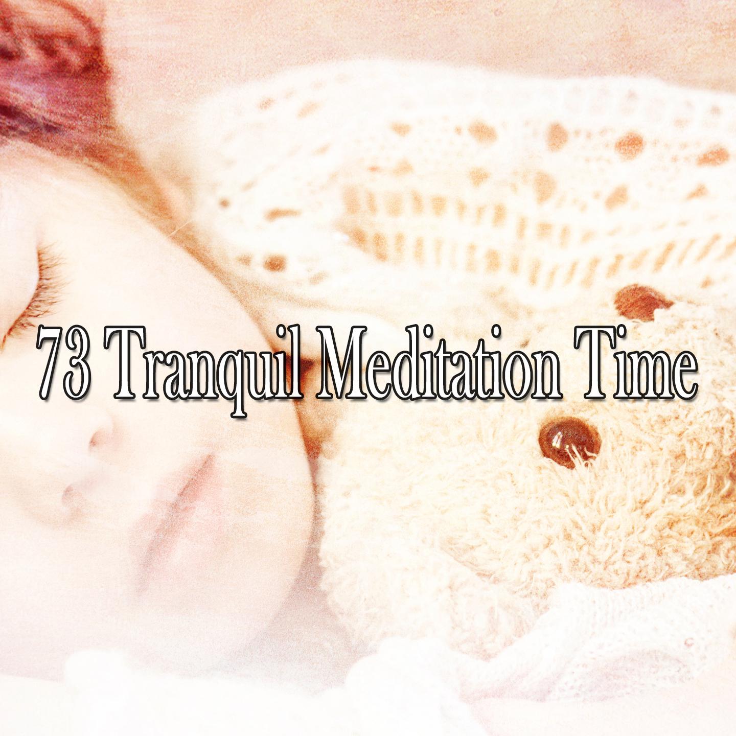 73 Tranquil Meditation Time