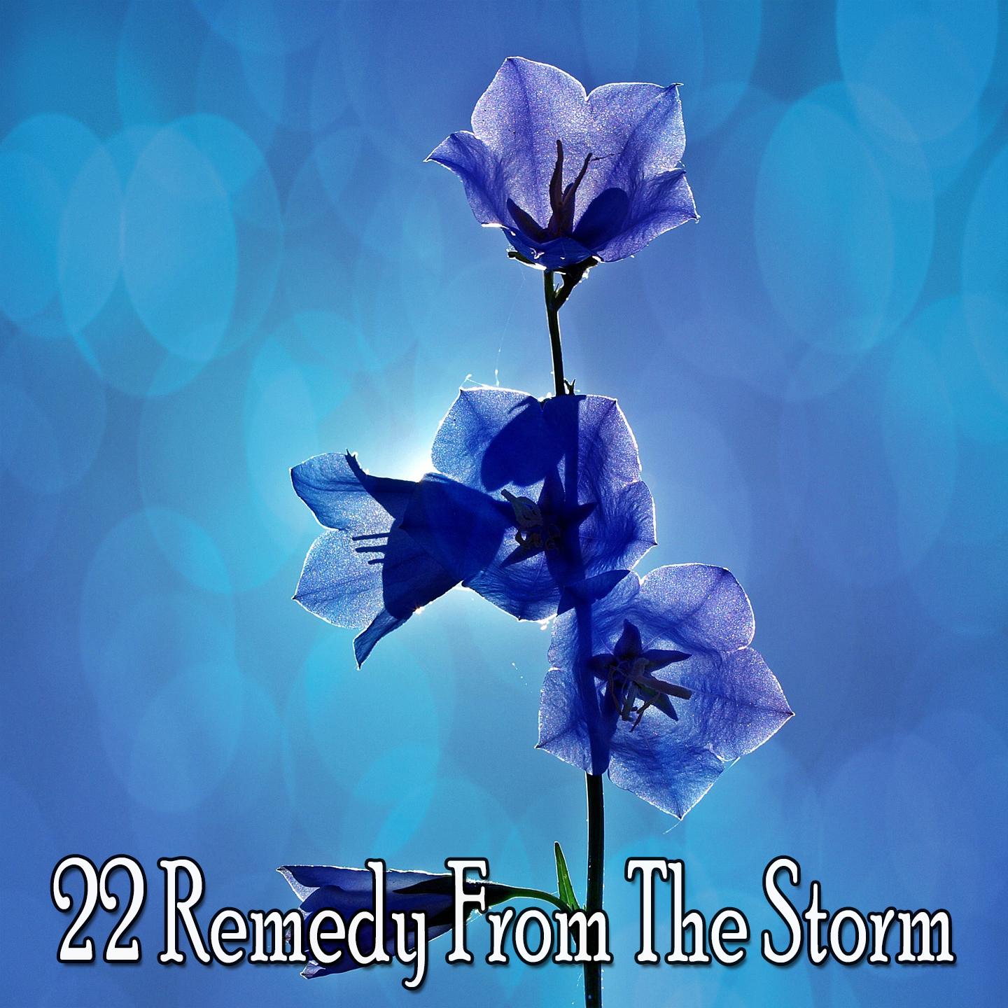 22 Remedy from the Storm