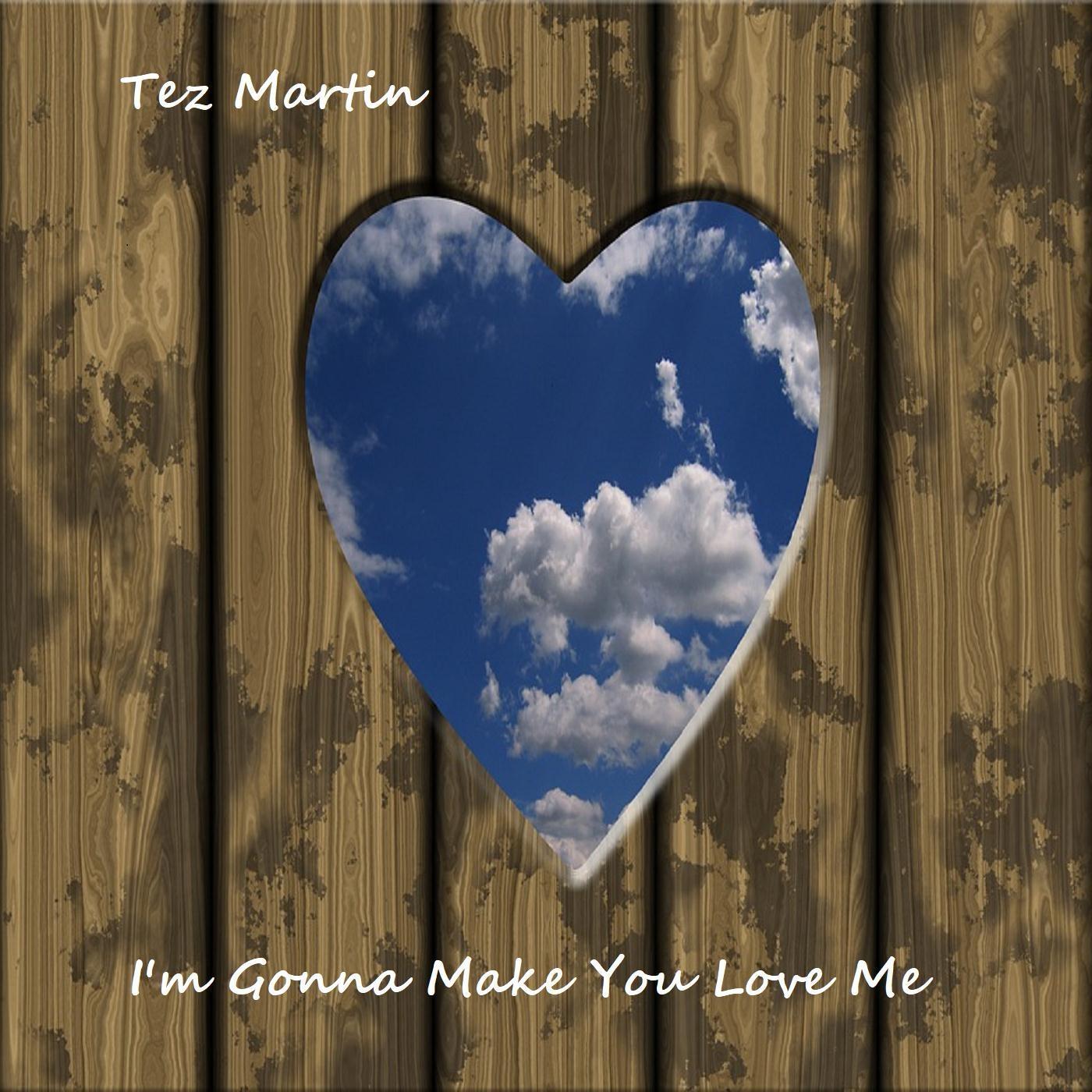 I'm Gonna Make You Love Me