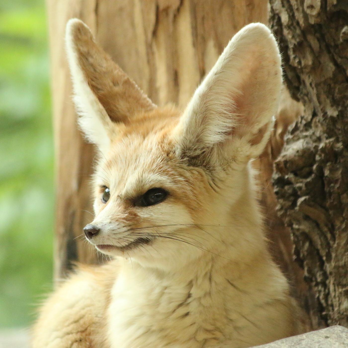 Save It for a Rainy Day