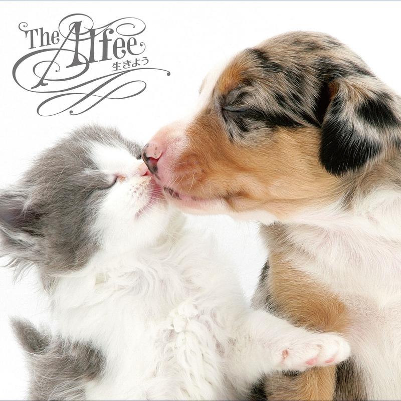 sheng B c w I Love You Live Version