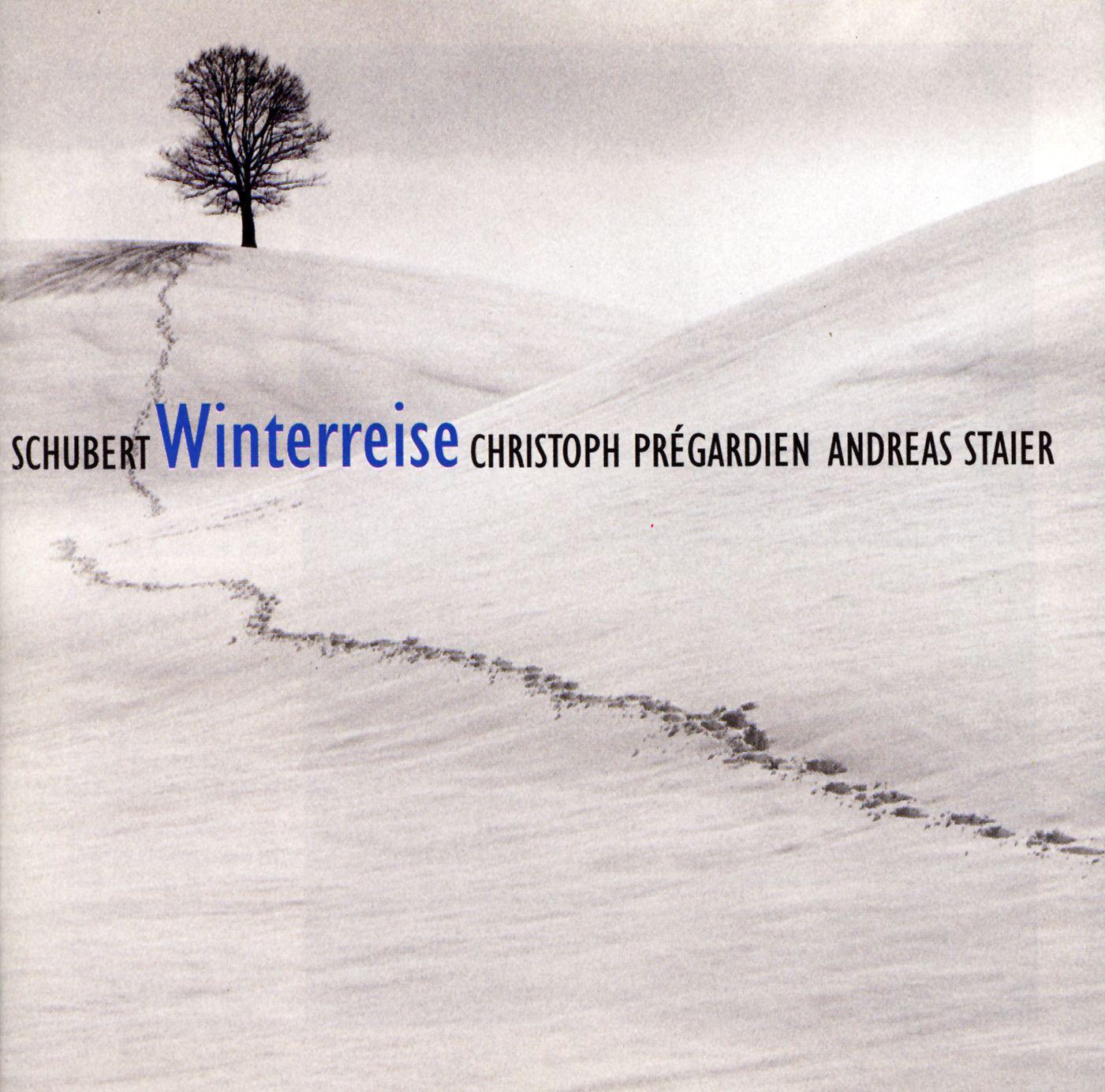 Winterreise, Op. 89, D. 911:No. 4, Erstarrung