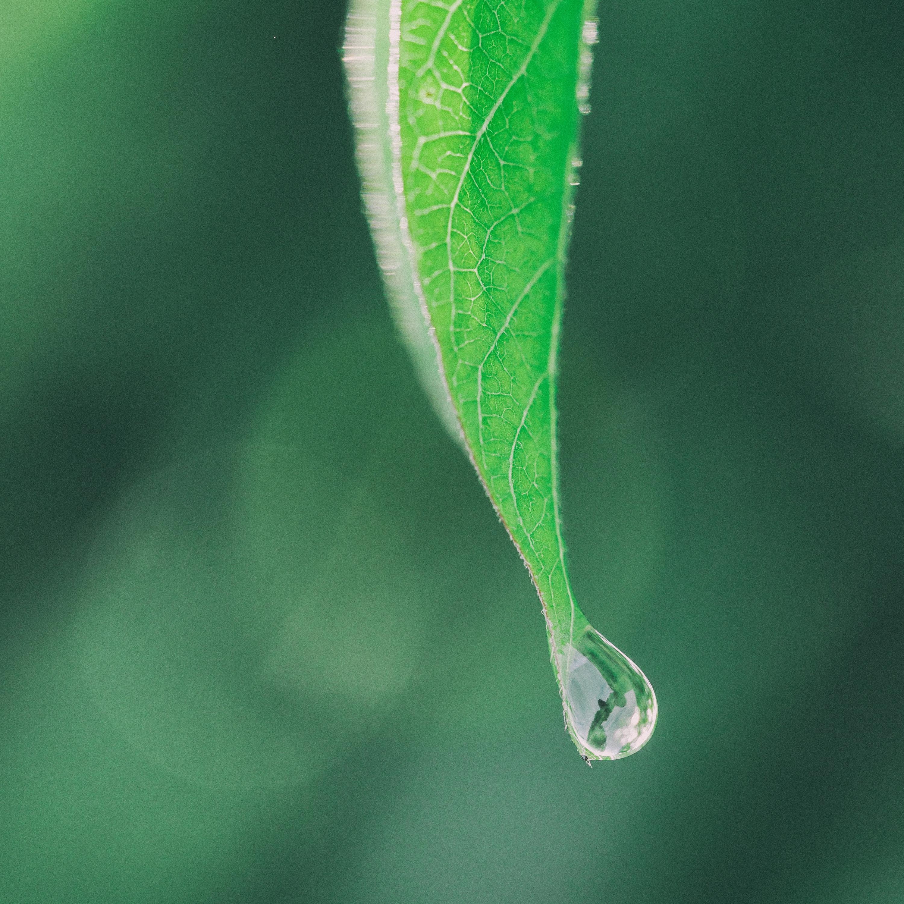 Mu sica Para Relax y Calma  Mu sica Ambiental Para Yoga y Meditacio n