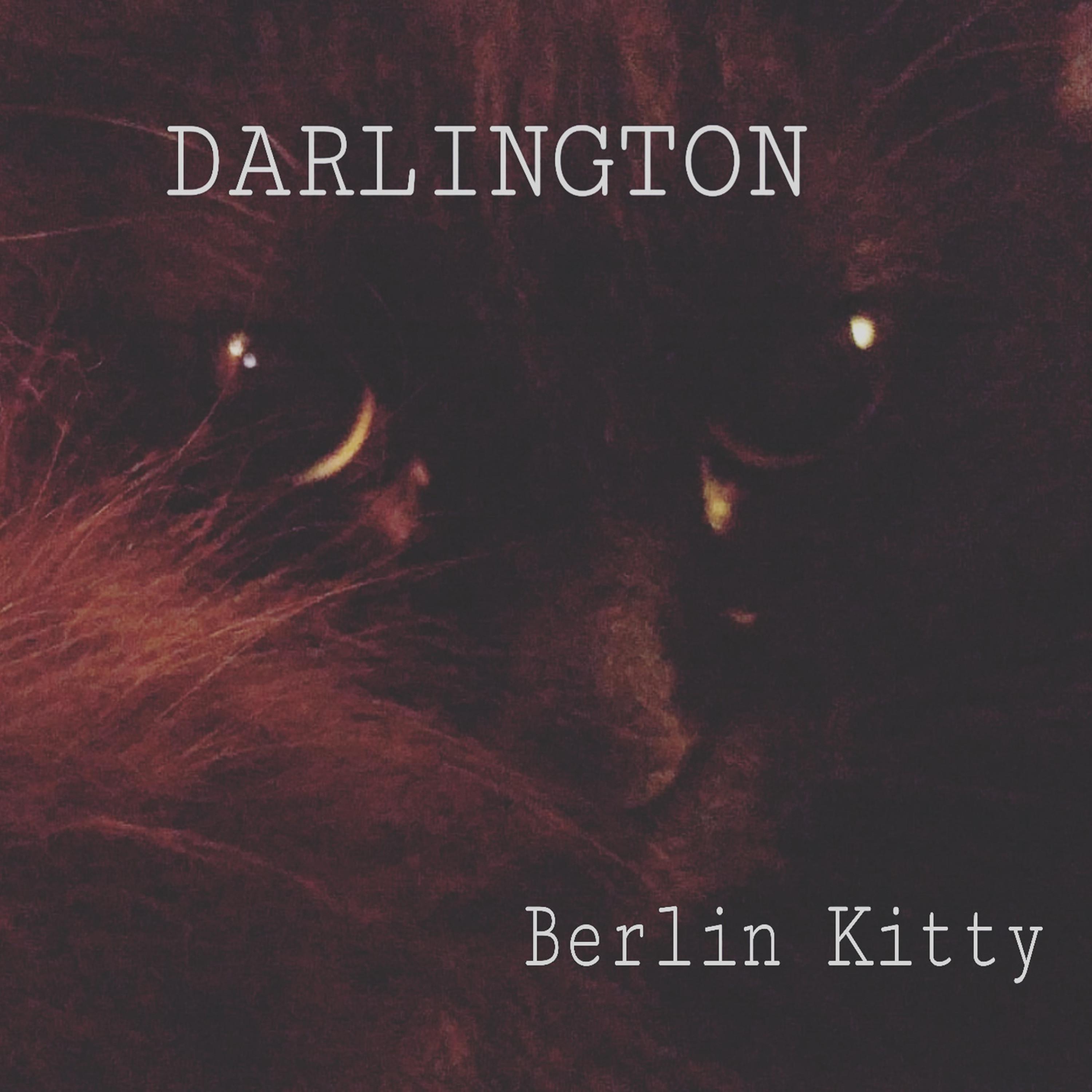 Berlin Kitty