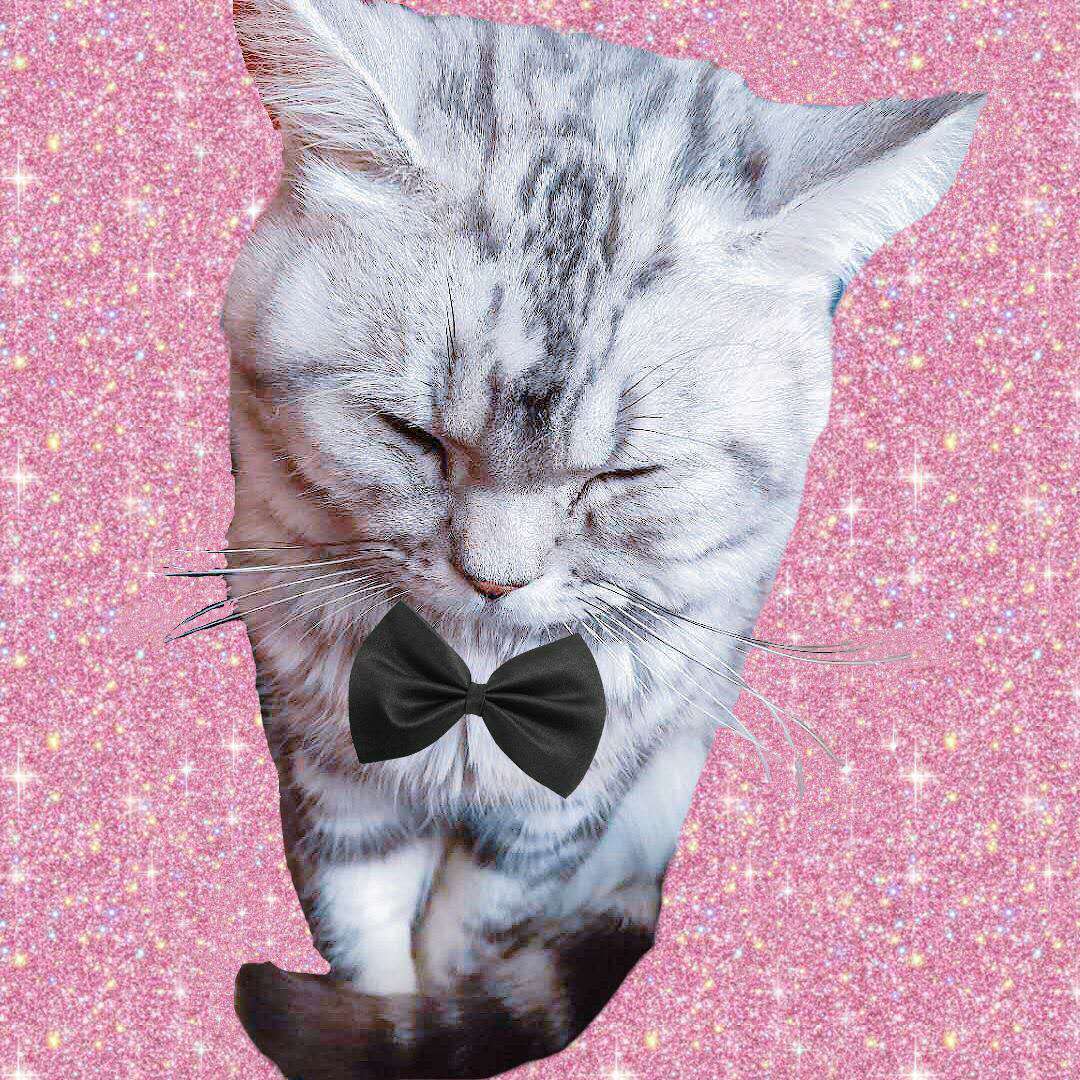 jiu xiang tian yi dian