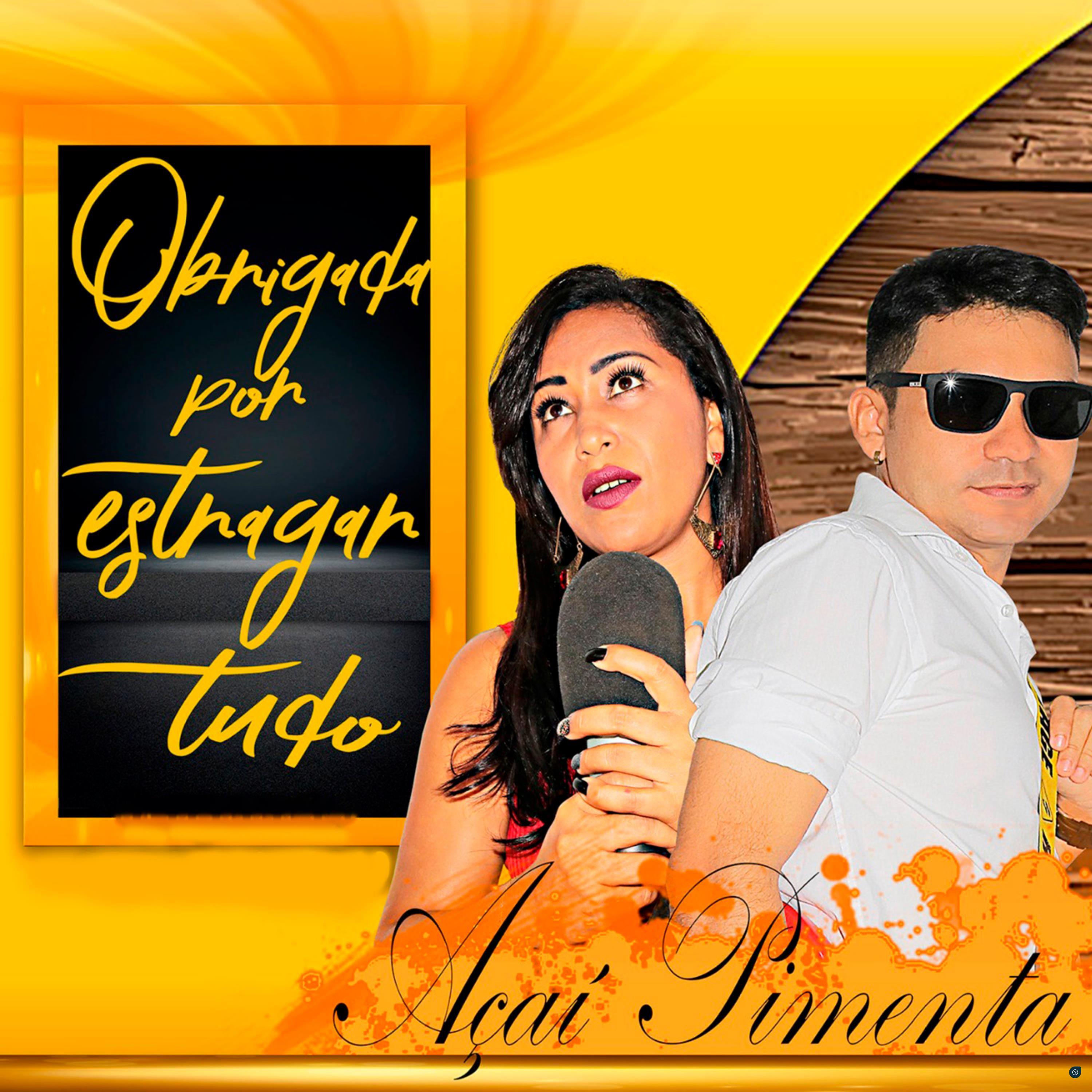 Obrigada por Estragar Tudo