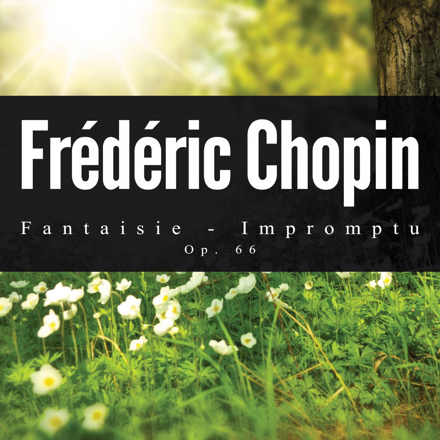Fantaisie - Impromptu, Op. 66