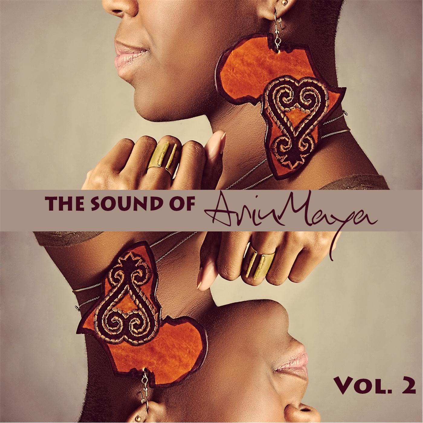 The Sound of ArinMaya, Vol. 2