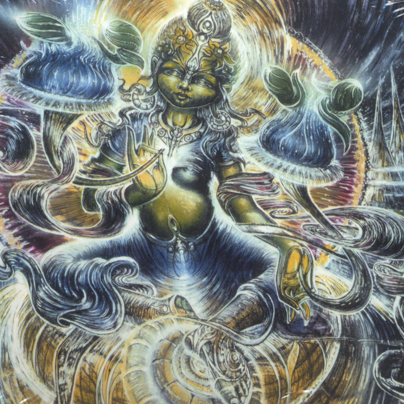 Concsious Revolution