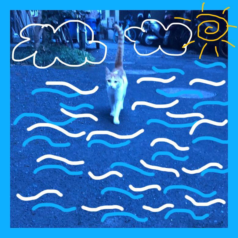 wo dui zhe pian da hai mei you yi dian yi jian