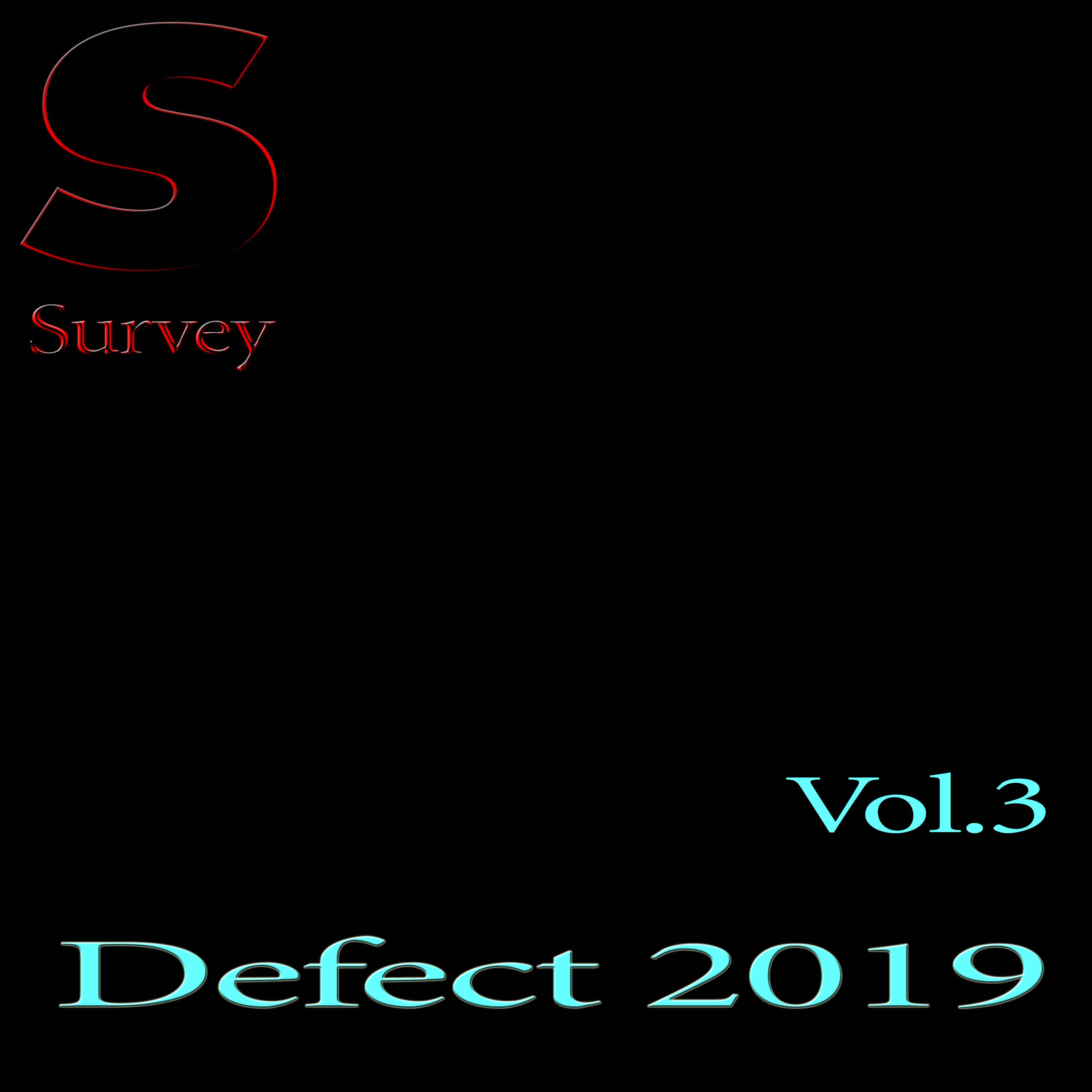Defect 2019, Vol.3