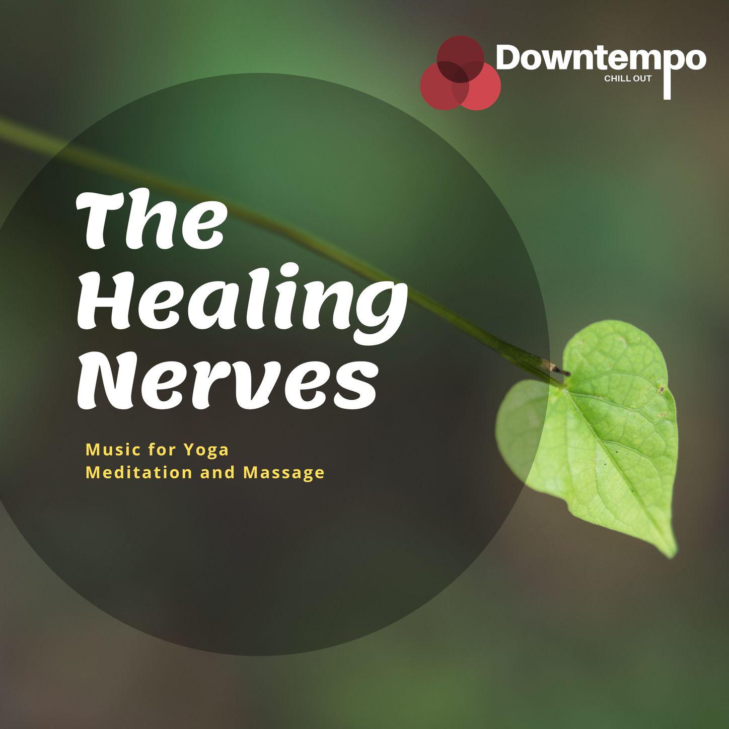 The Healing Nerves: Music for Yoga Meditation and Massage